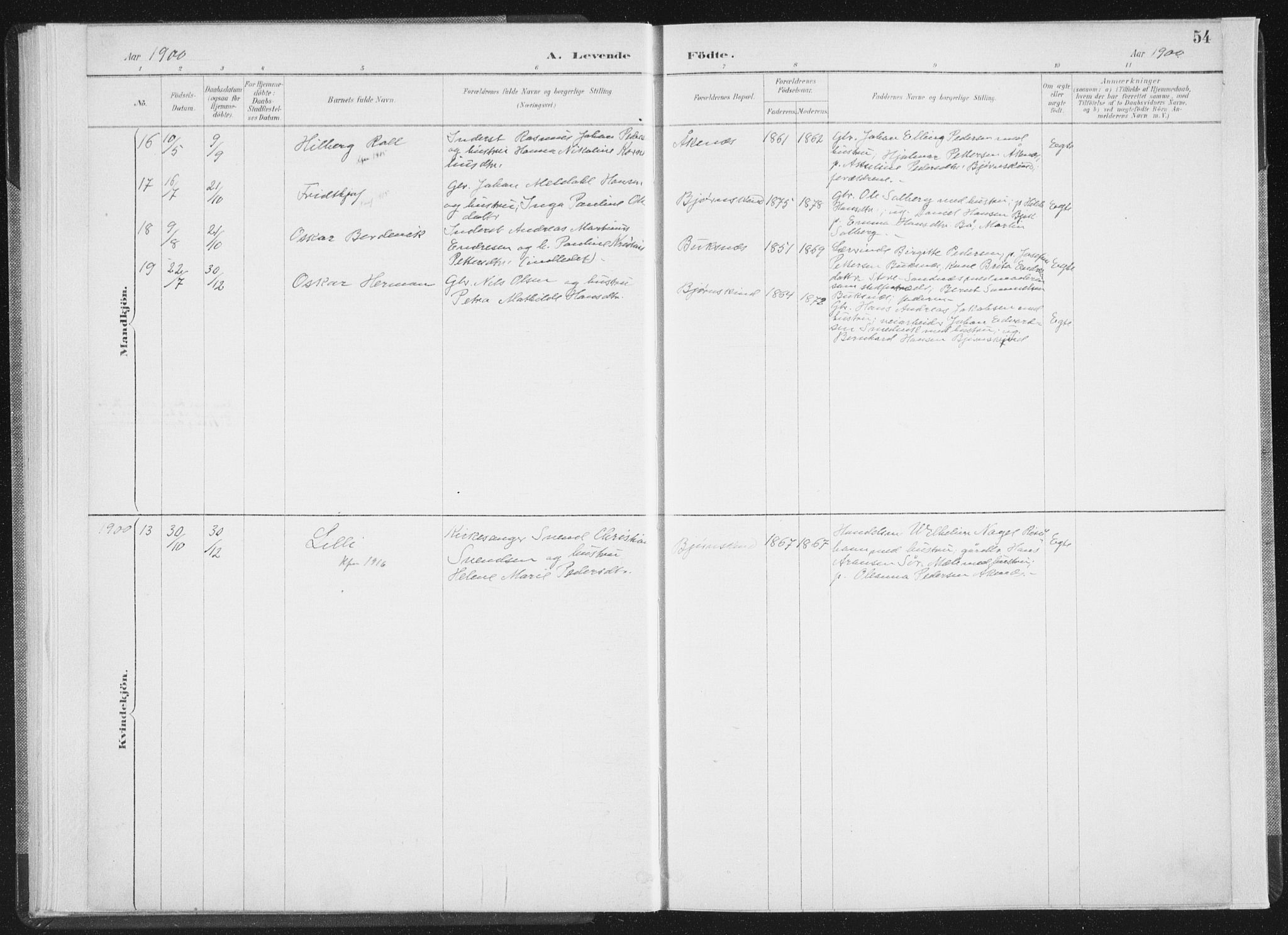 Ministerialprotokoller, klokkerbøker og fødselsregistre - Nordland, AV/SAT-A-1459/898/L1422: Parish register (official) no. 898A02, 1887-1908, p. 54