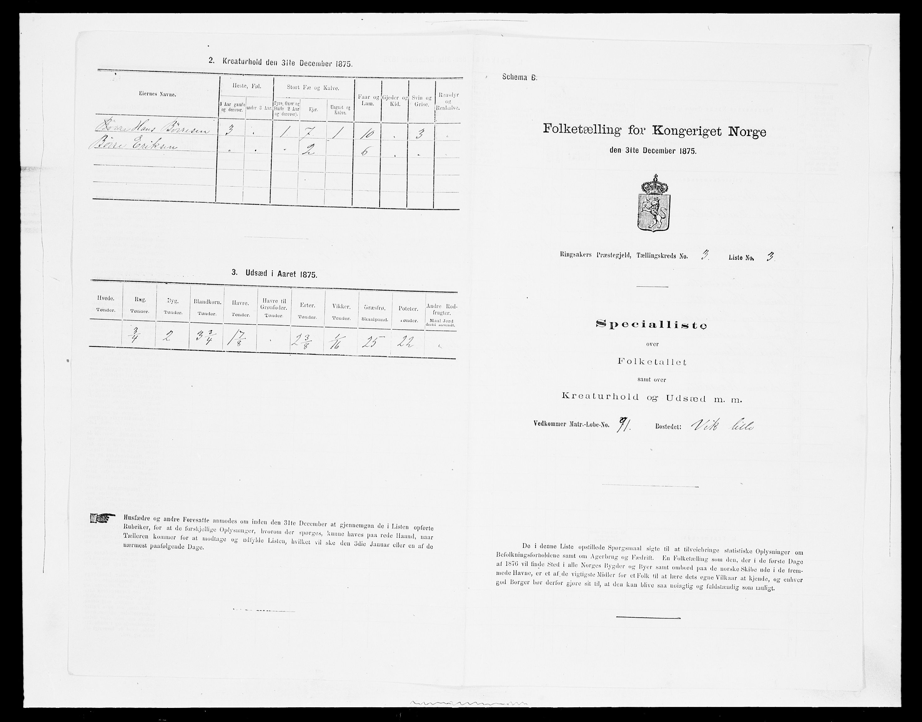 SAH, 1875 census for 0412P Ringsaker, 1875, p. 619