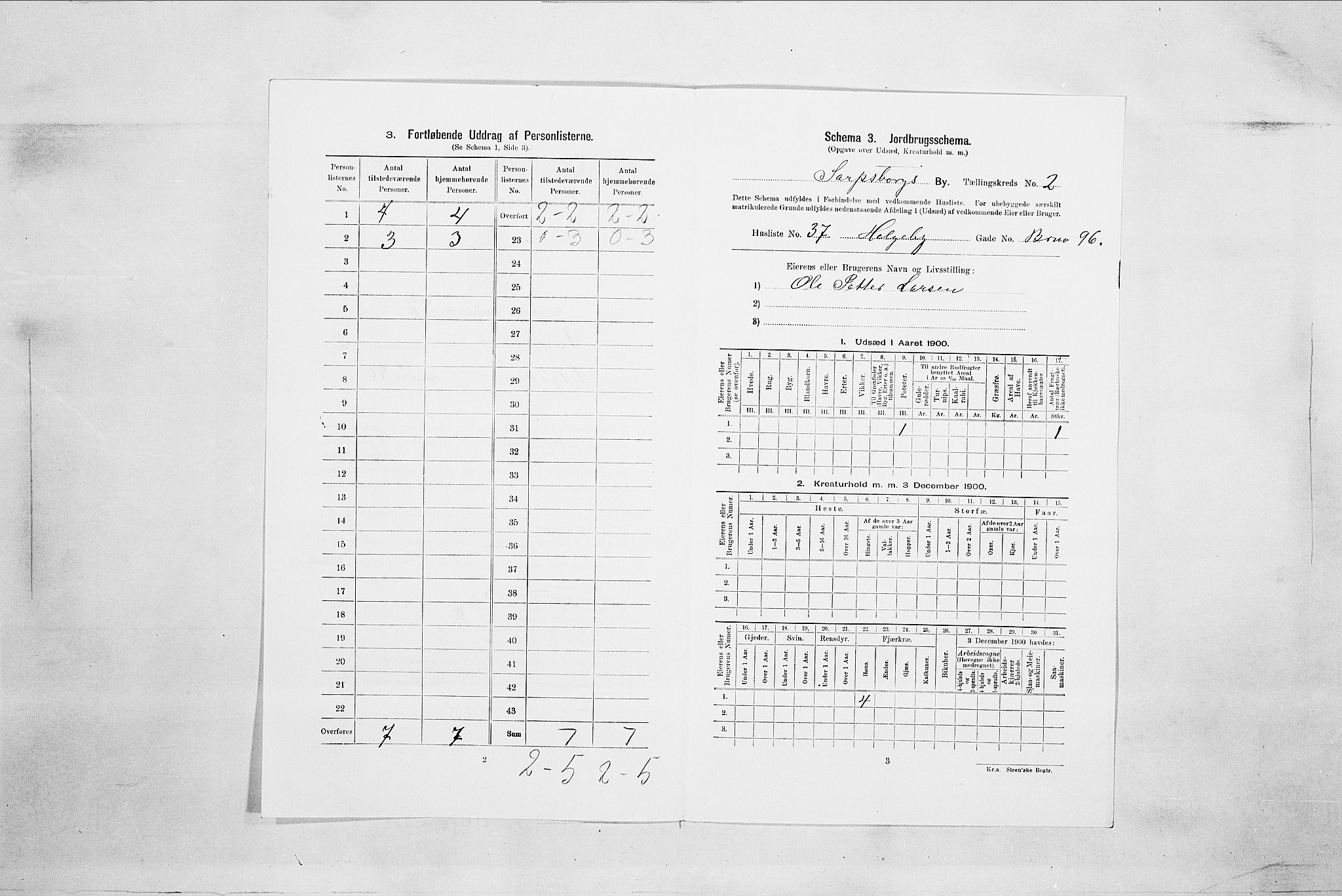 SAO, 1900 census for Sarpsborg, 1900