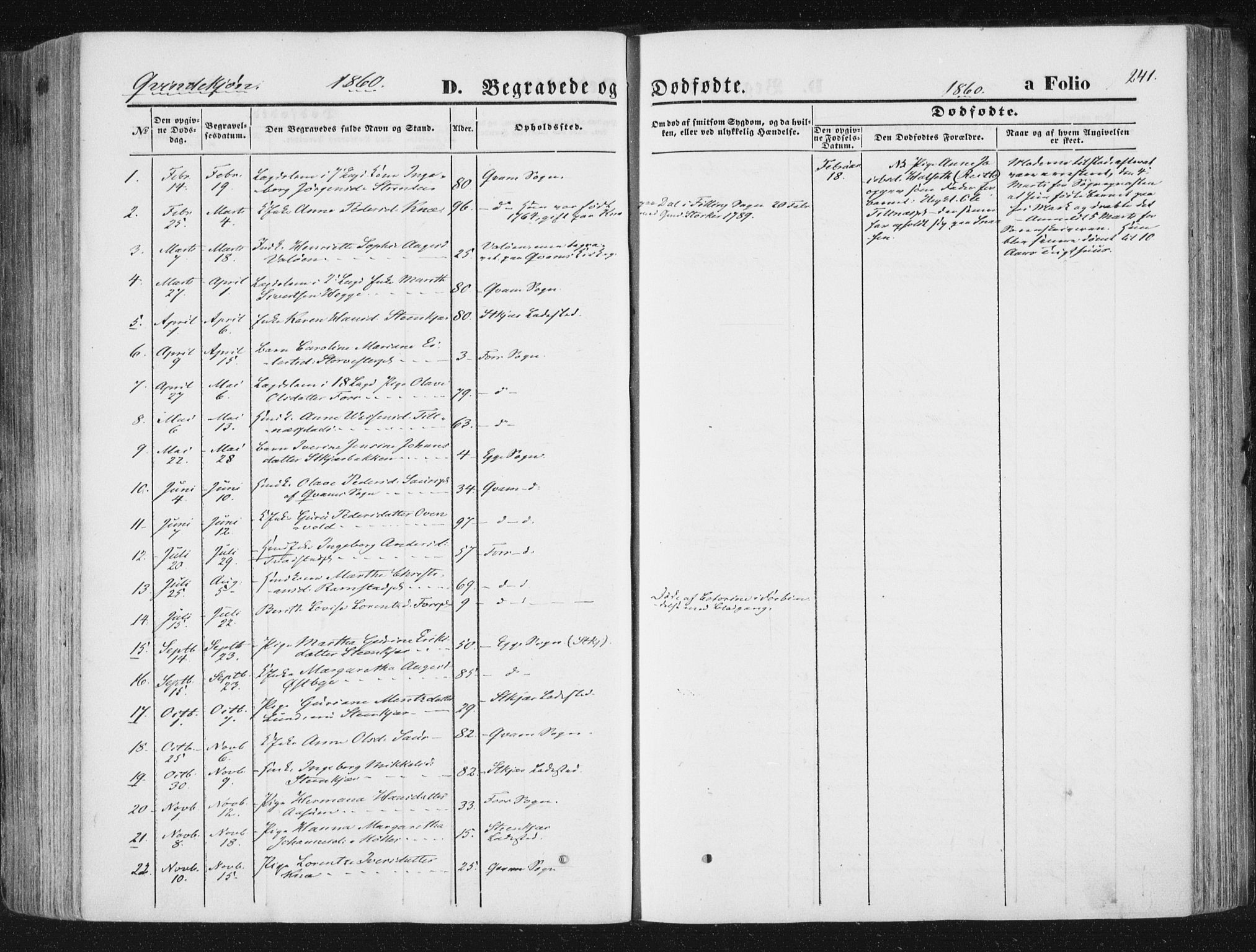 Ministerialprotokoller, klokkerbøker og fødselsregistre - Nord-Trøndelag, SAT/A-1458/746/L0447: Parish register (official) no. 746A06, 1860-1877, p. 241