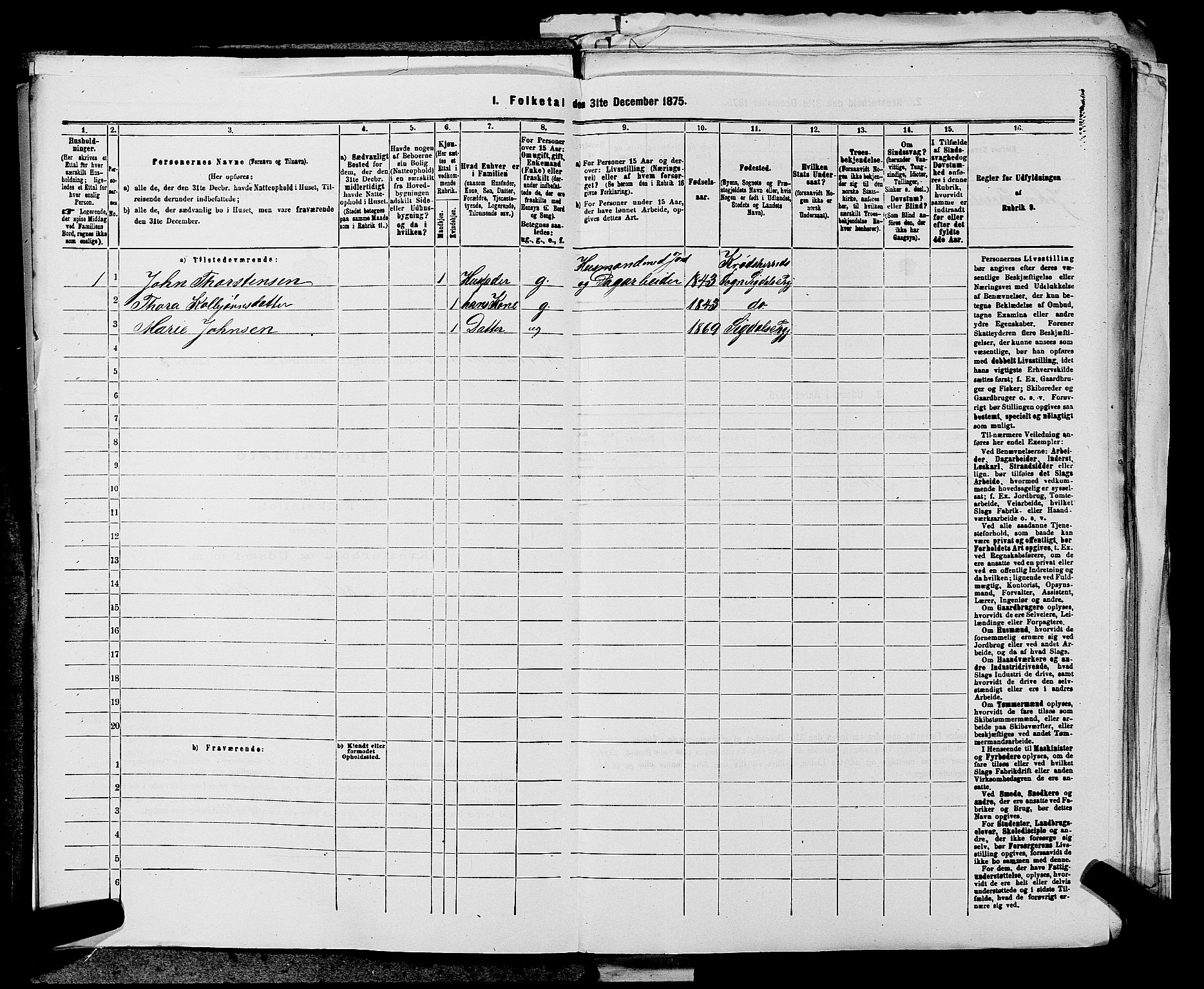 SAKO, 1875 census for 0621P Sigdal, 1875, p. 1173