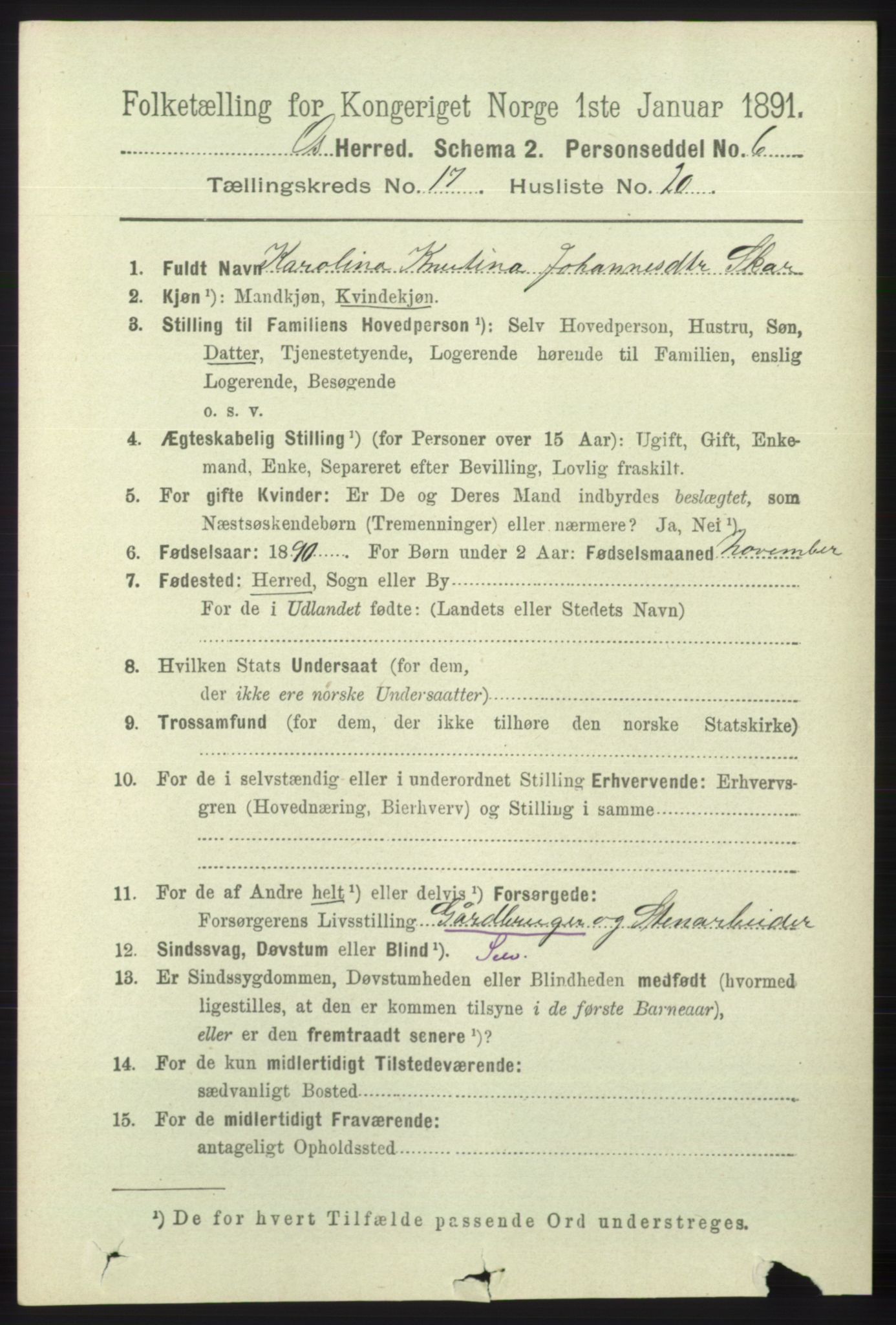 RA, 1891 census for 1243 Os, 1891, p. 3862