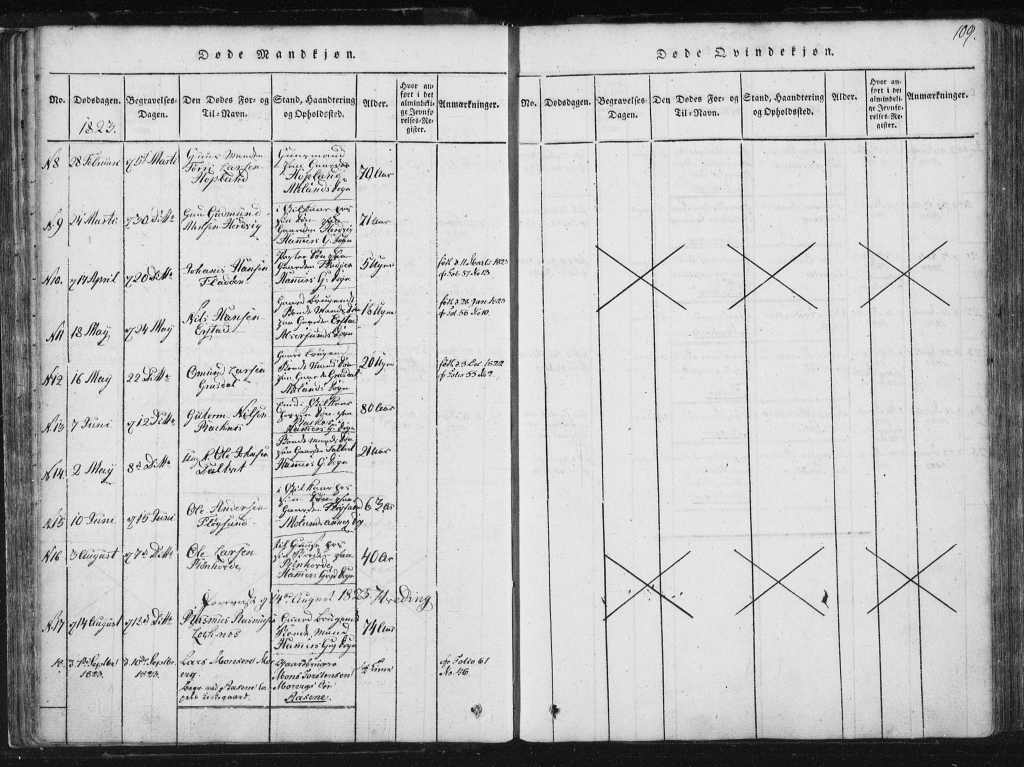 Hamre sokneprestembete, AV/SAB-A-75501/H/Ha/Haa/Haaa/L0010: Parish register (official) no. A 10, 1816-1826, p. 109