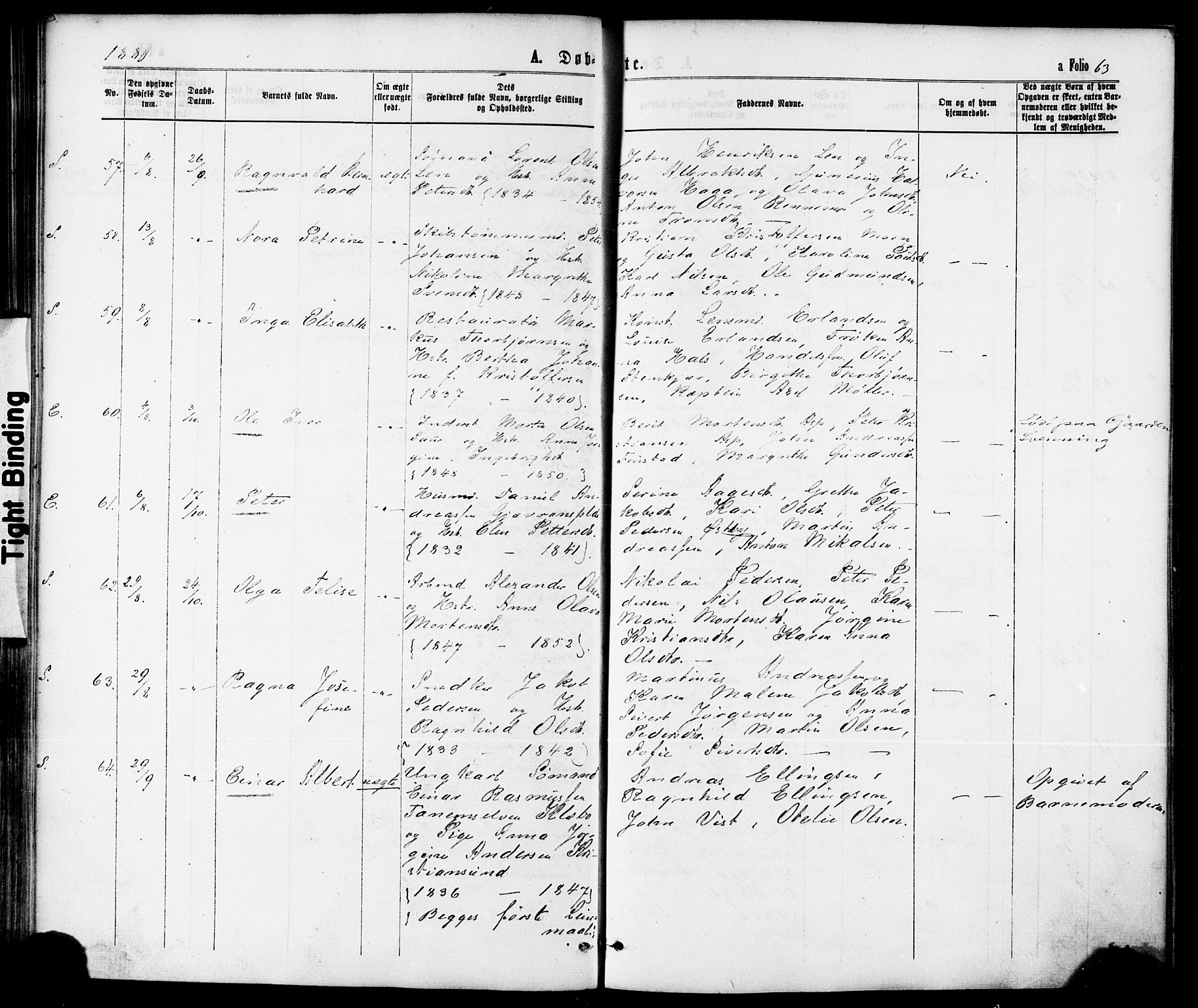 Ministerialprotokoller, klokkerbøker og fødselsregistre - Nord-Trøndelag, AV/SAT-A-1458/739/L0370: Parish register (official) no. 739A02, 1868-1881, p. 63