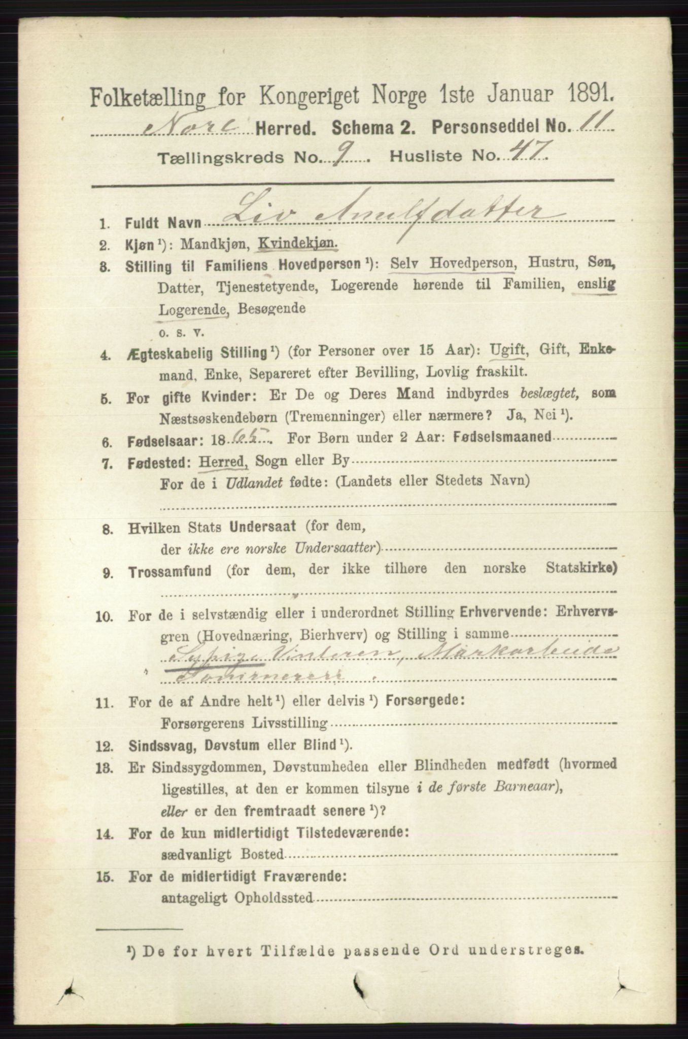 RA, 1891 census for 0633 Nore, 1891, p. 3488