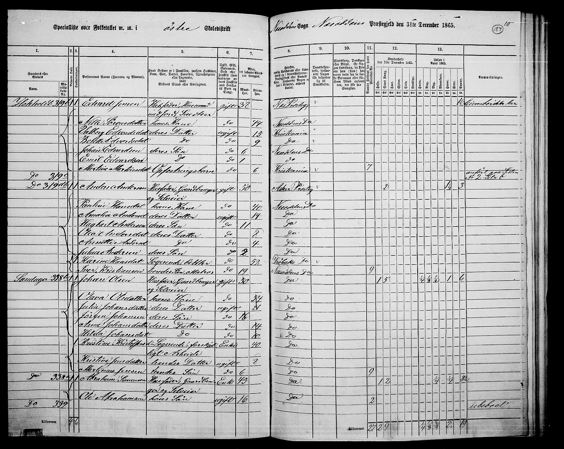 RA, 1865 census for Nesodden, 1865, p. 29