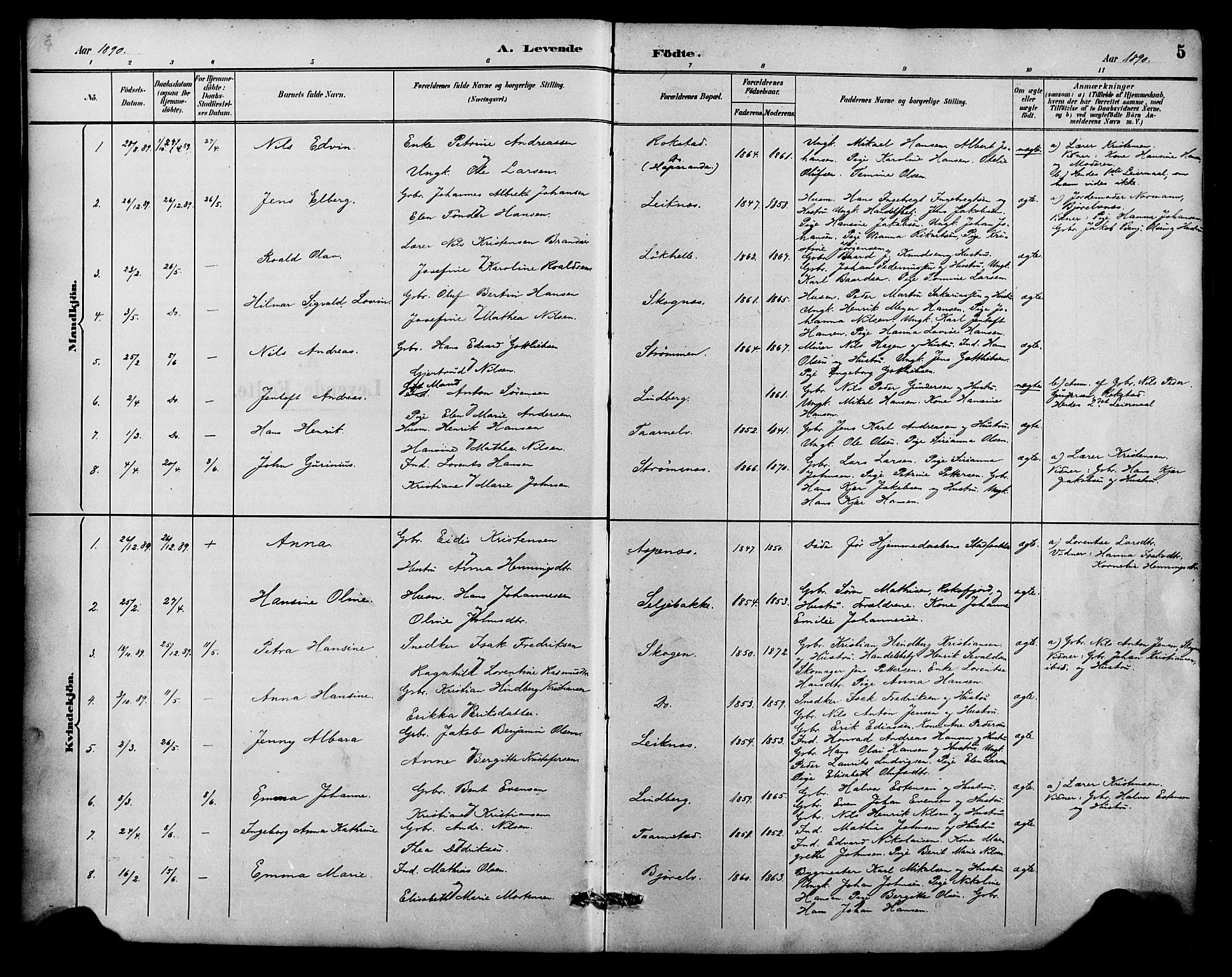 Lenvik sokneprestembete, SATØ/S-1310/H/Ha/Haa/L0013kirke: Parish register (official) no. 13, 1890-1898, p. 5