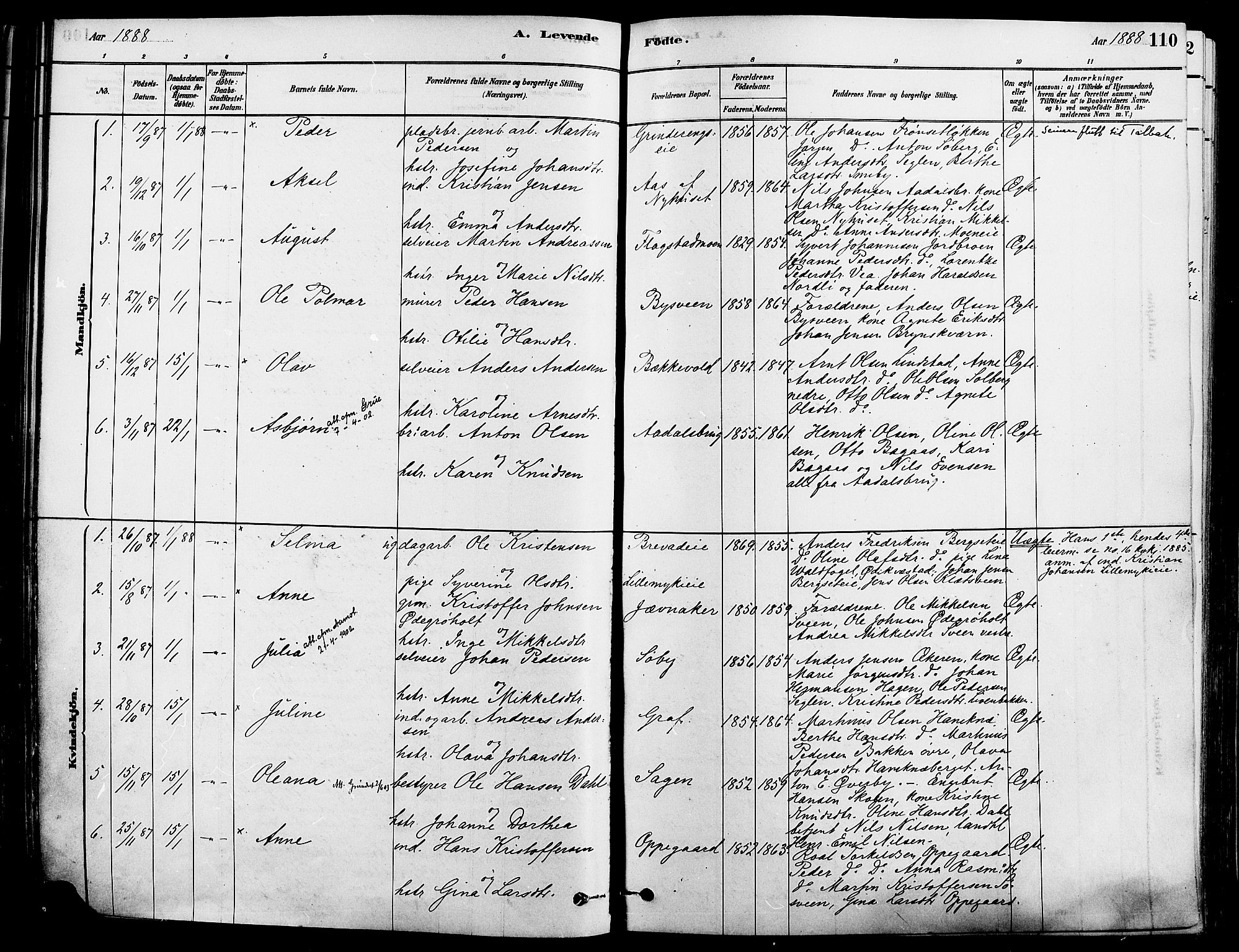 Løten prestekontor, AV/SAH-PREST-022/K/Ka/L0009: Parish register (official) no. 9, 1878-1891, p. 110