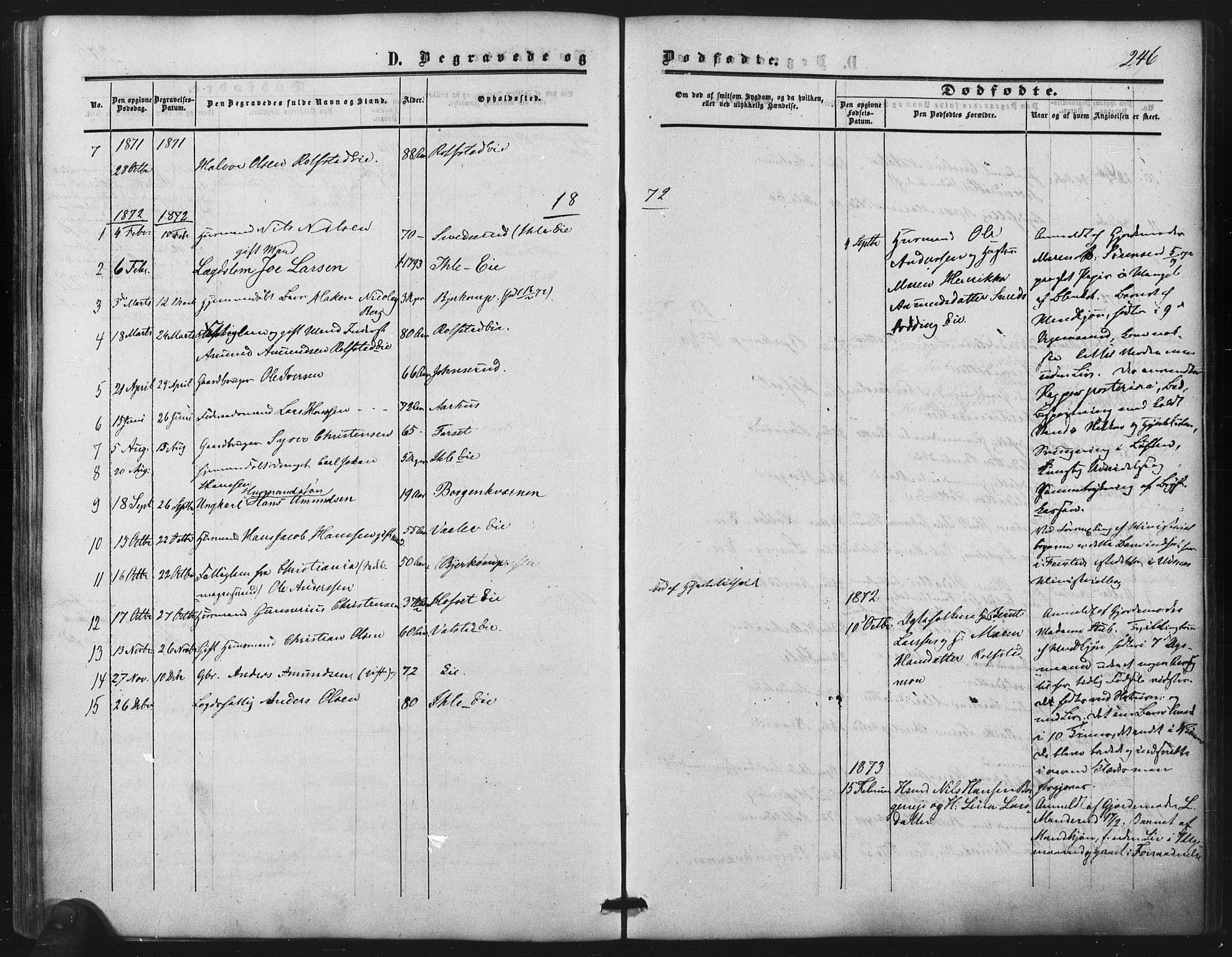 Nes prestekontor Kirkebøker, SAO/A-10410/F/Fb/L0001: Parish register (official) no. II 1, 1859-1882, p. 246