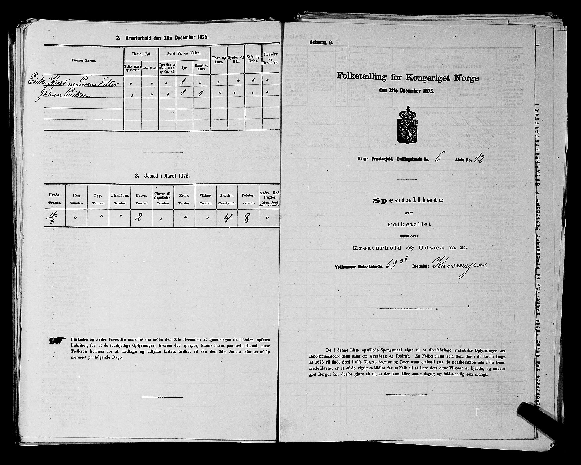 RA, 1875 census for 0113P Borge, 1875, p. 958