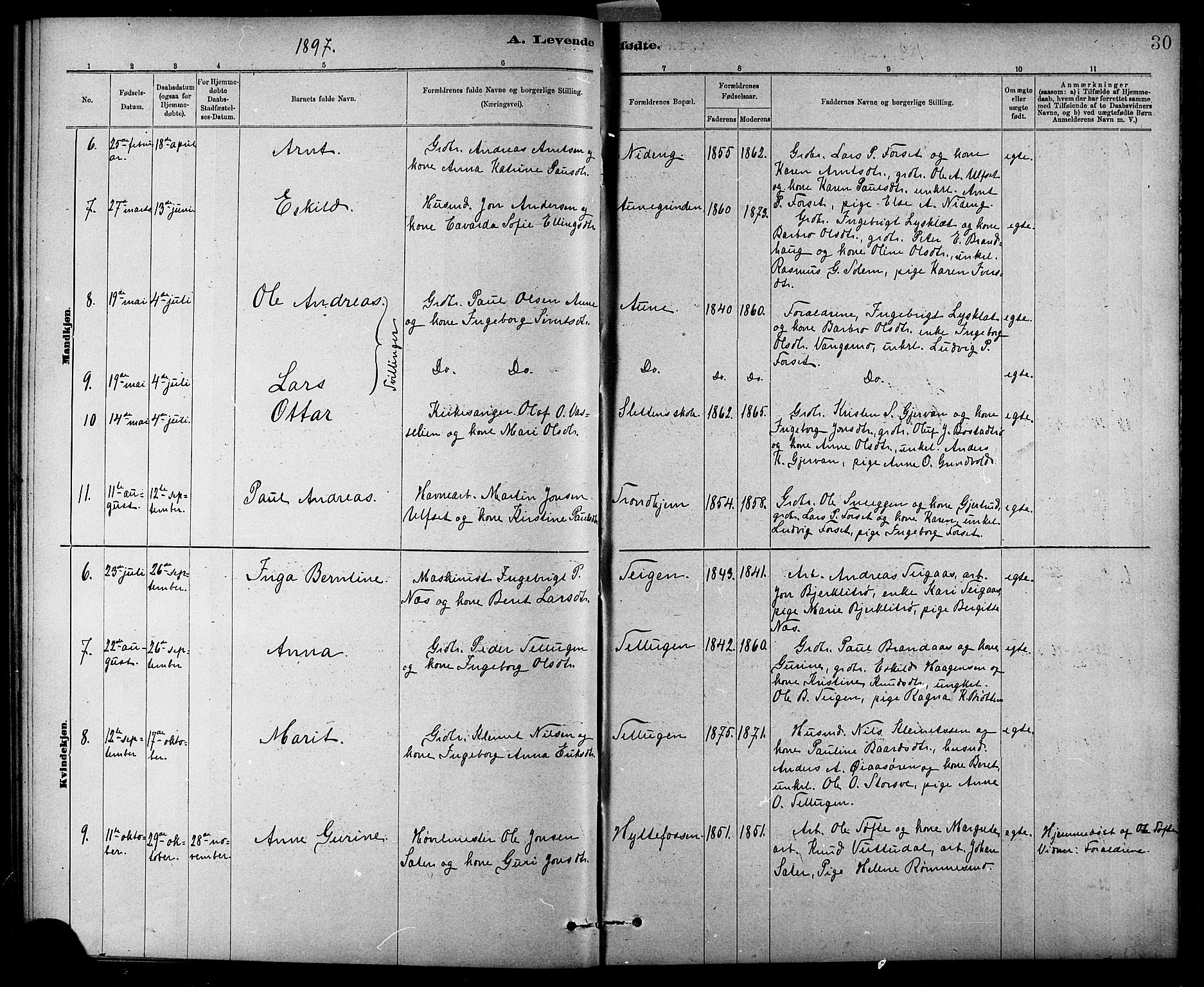 Ministerialprotokoller, klokkerbøker og fødselsregistre - Sør-Trøndelag, SAT/A-1456/618/L0452: Parish register (copy) no. 618C03, 1884-1906, p. 30