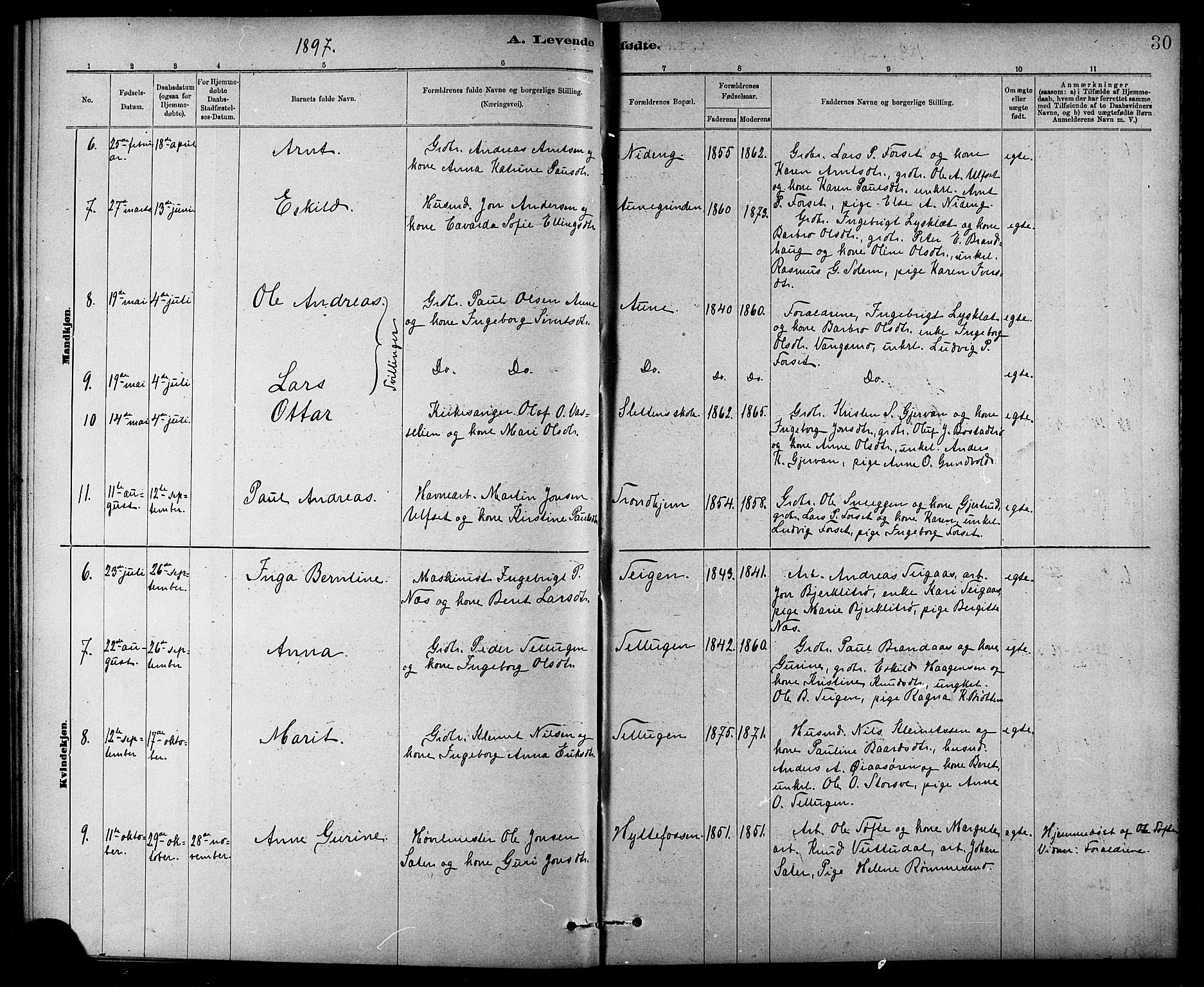 Ministerialprotokoller, klokkerbøker og fødselsregistre - Sør-Trøndelag, AV/SAT-A-1456/618/L0452: Parish register (copy) no. 618C03, 1884-1906, p. 30