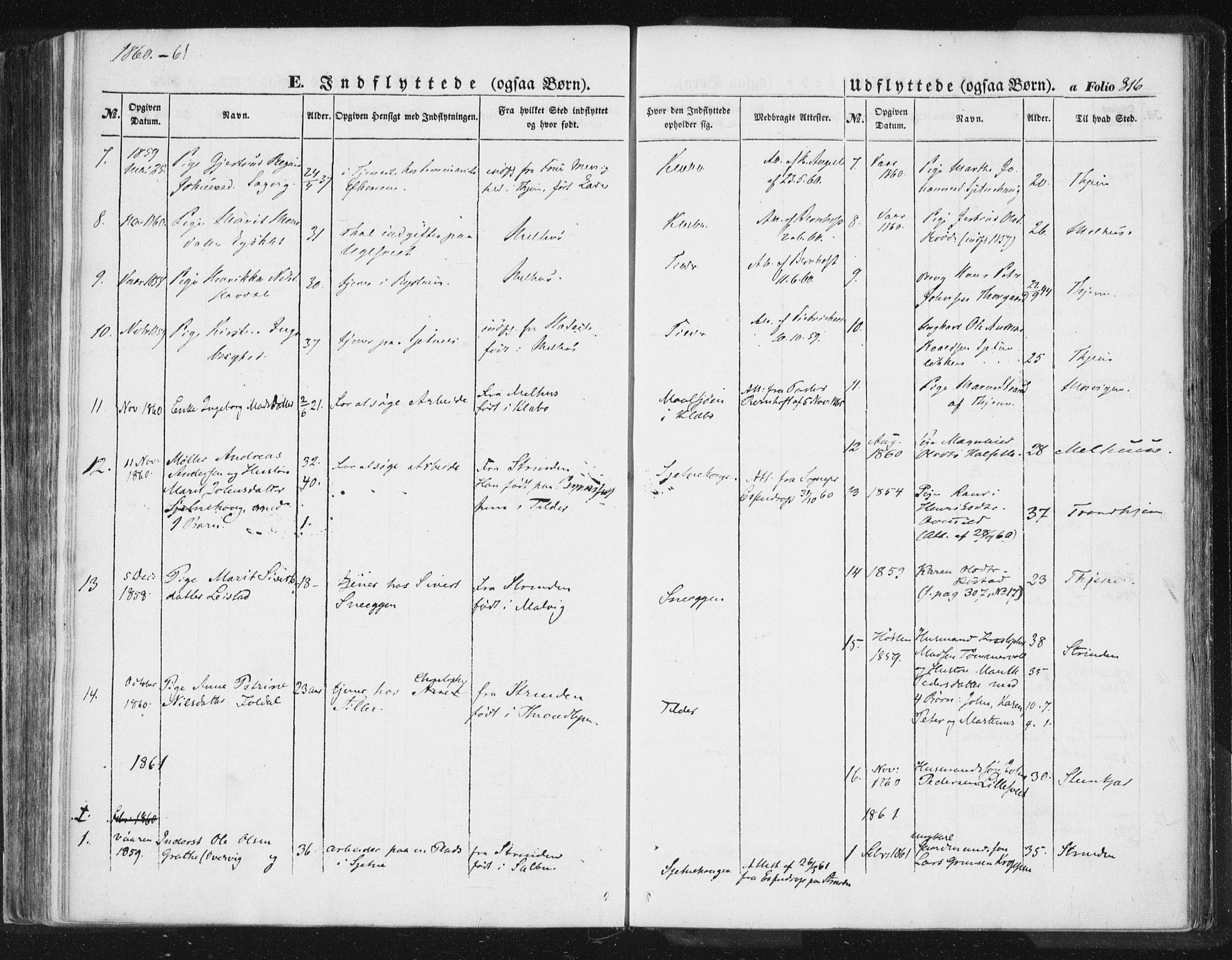 Ministerialprotokoller, klokkerbøker og fødselsregistre - Sør-Trøndelag, SAT/A-1456/618/L0441: Parish register (official) no. 618A05, 1843-1862, p. 316
