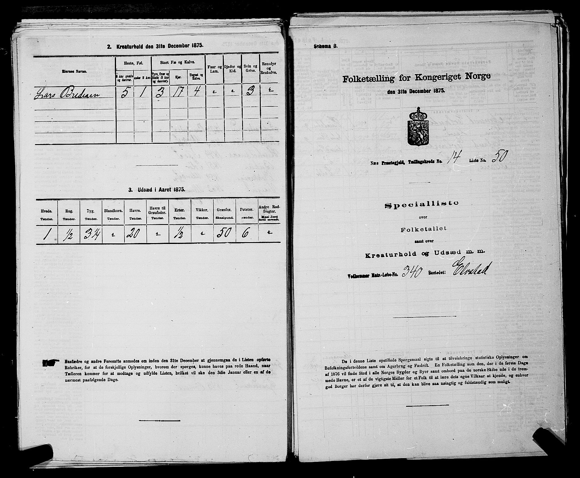 RA, 1875 census for 0236P Nes, 1875, p. 2580