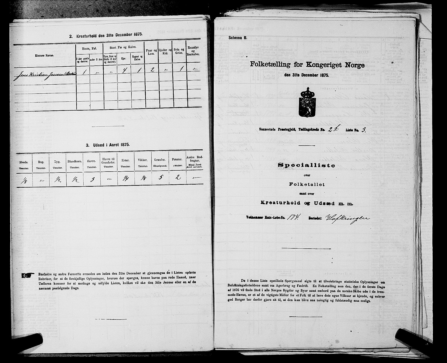 RA, 1875 census for 0238P Nannestad, 1875, p. 338