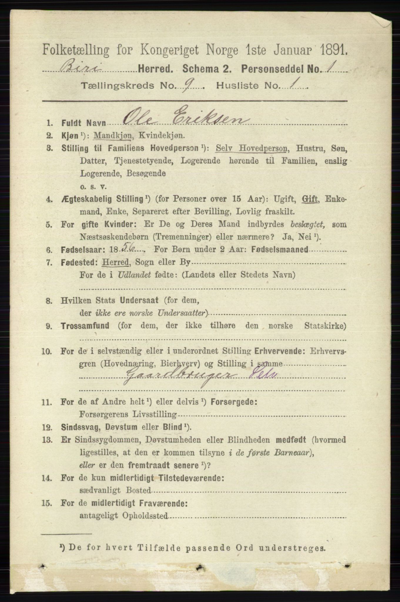 RA, 1891 census for 0525 Biri, 1891, p. 3387