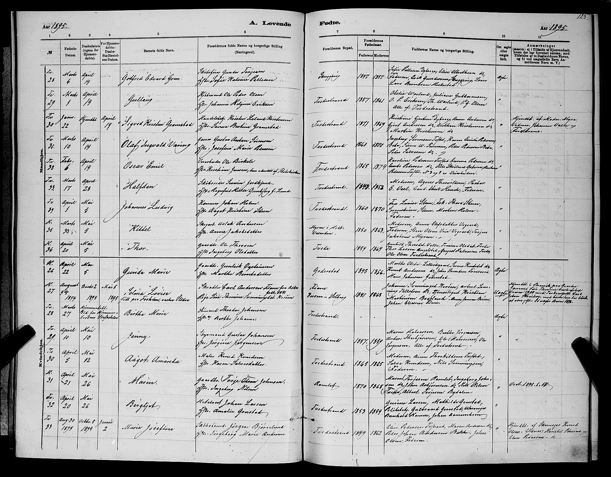 Holt sokneprestkontor, AV/SAK-1111-0021/F/Fb/L0010: Parish register (copy) no. B 10, 1883-1896, p. 125