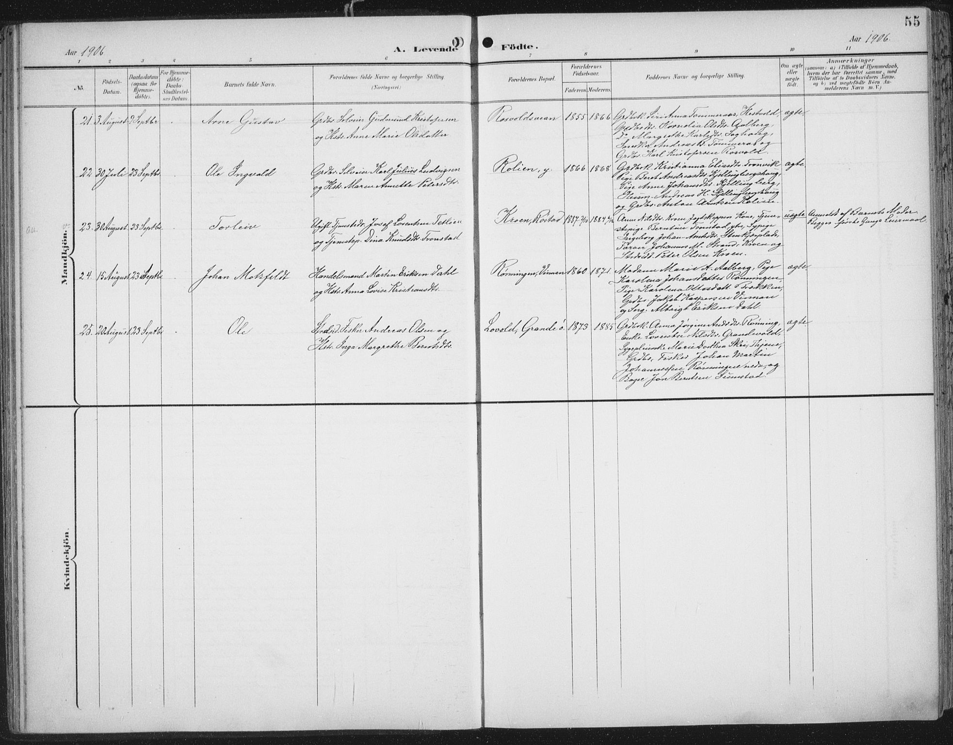 Ministerialprotokoller, klokkerbøker og fødselsregistre - Nord-Trøndelag, AV/SAT-A-1458/701/L0011: Parish register (official) no. 701A11, 1899-1915, p. 55