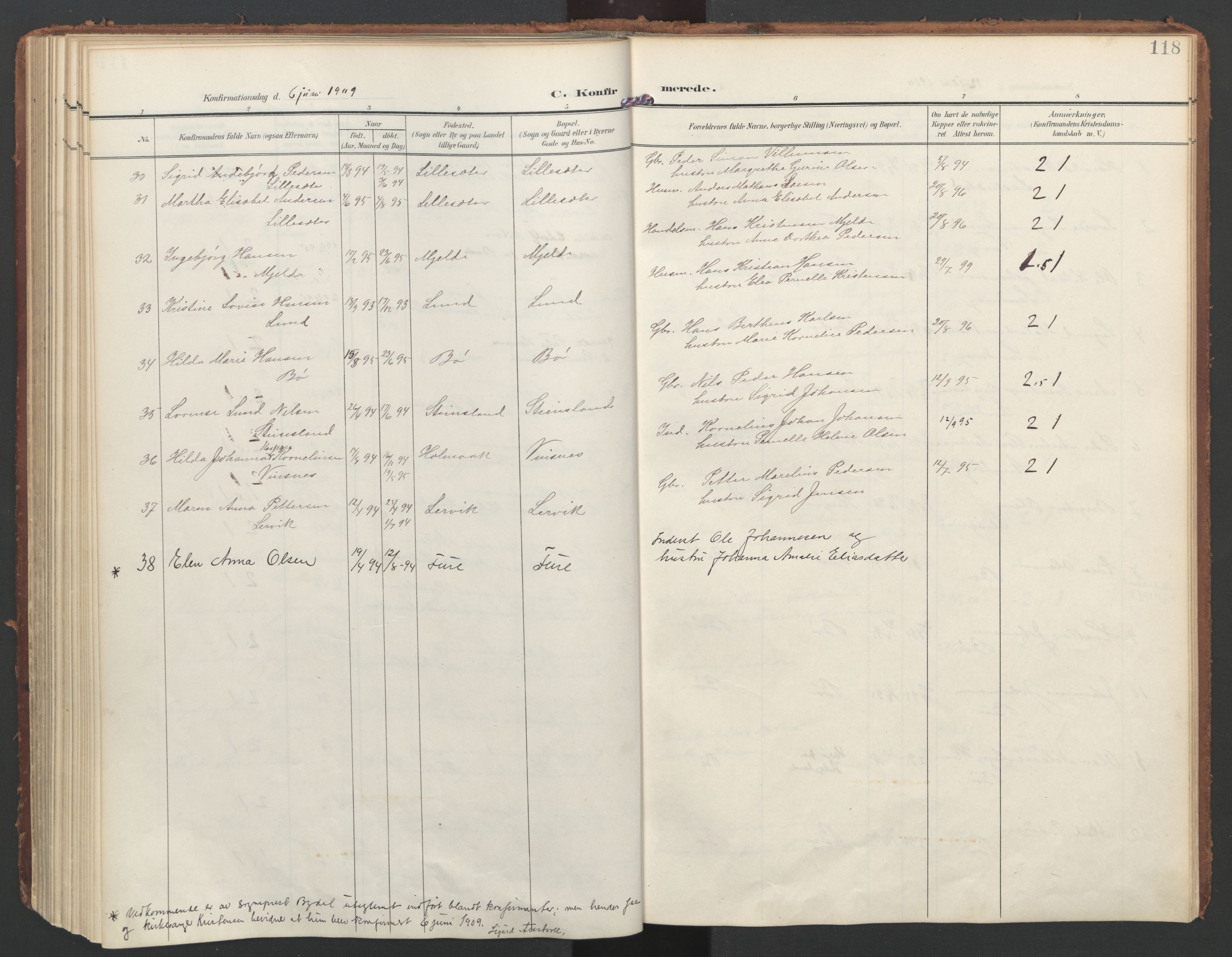 Ministerialprotokoller, klokkerbøker og fødselsregistre - Nordland, AV/SAT-A-1459/855/L0805: Parish register (official) no. 855A13, 1906-1920, p. 118