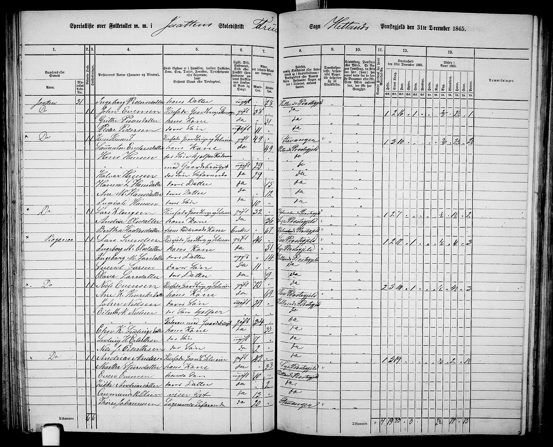 RA, 1865 census for Hetland, 1865, p. 100