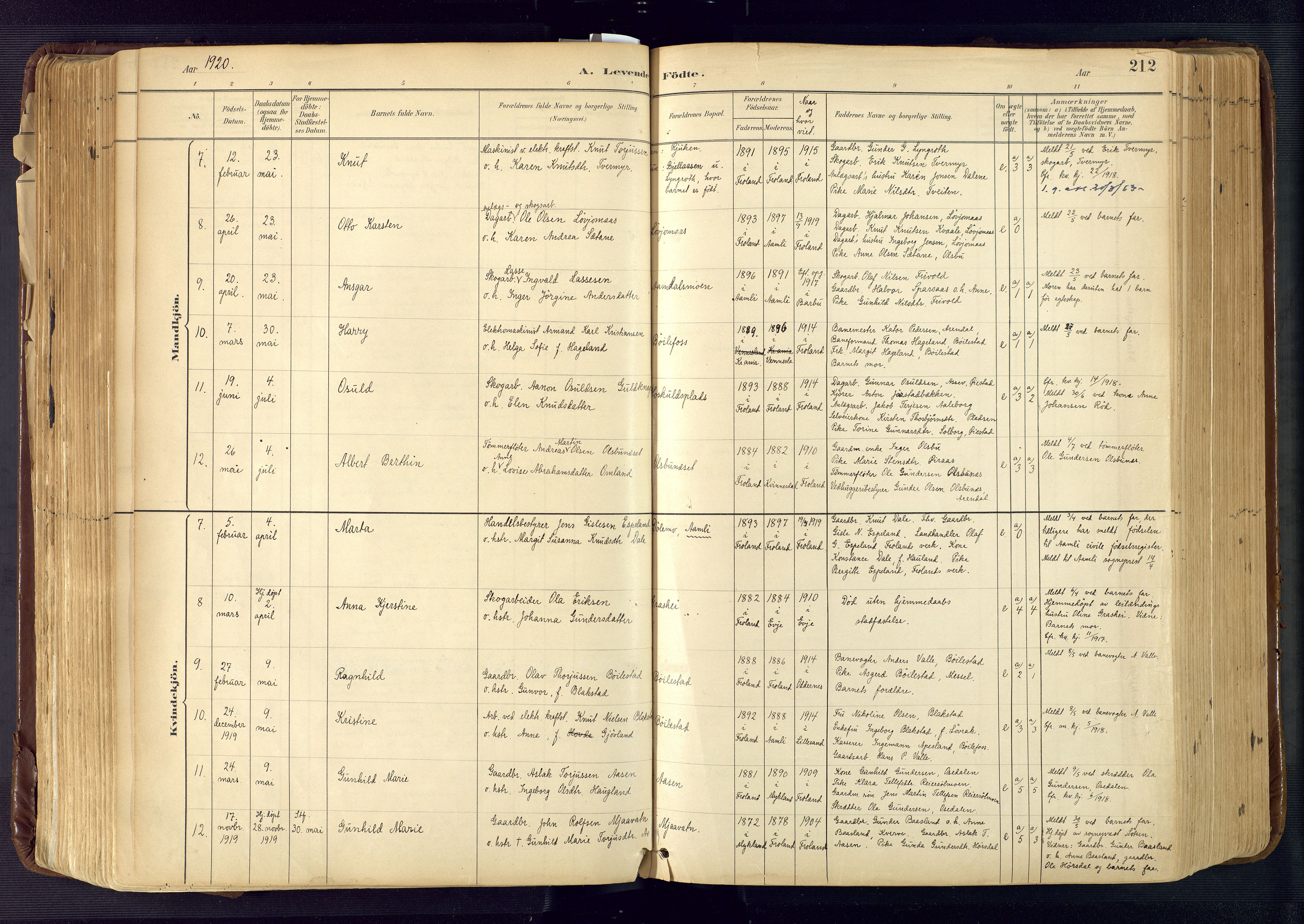 Froland sokneprestkontor, SAK/1111-0013/F/Fa/L0005: Parish register (official) no. A 5, 1882-1921, p. 212