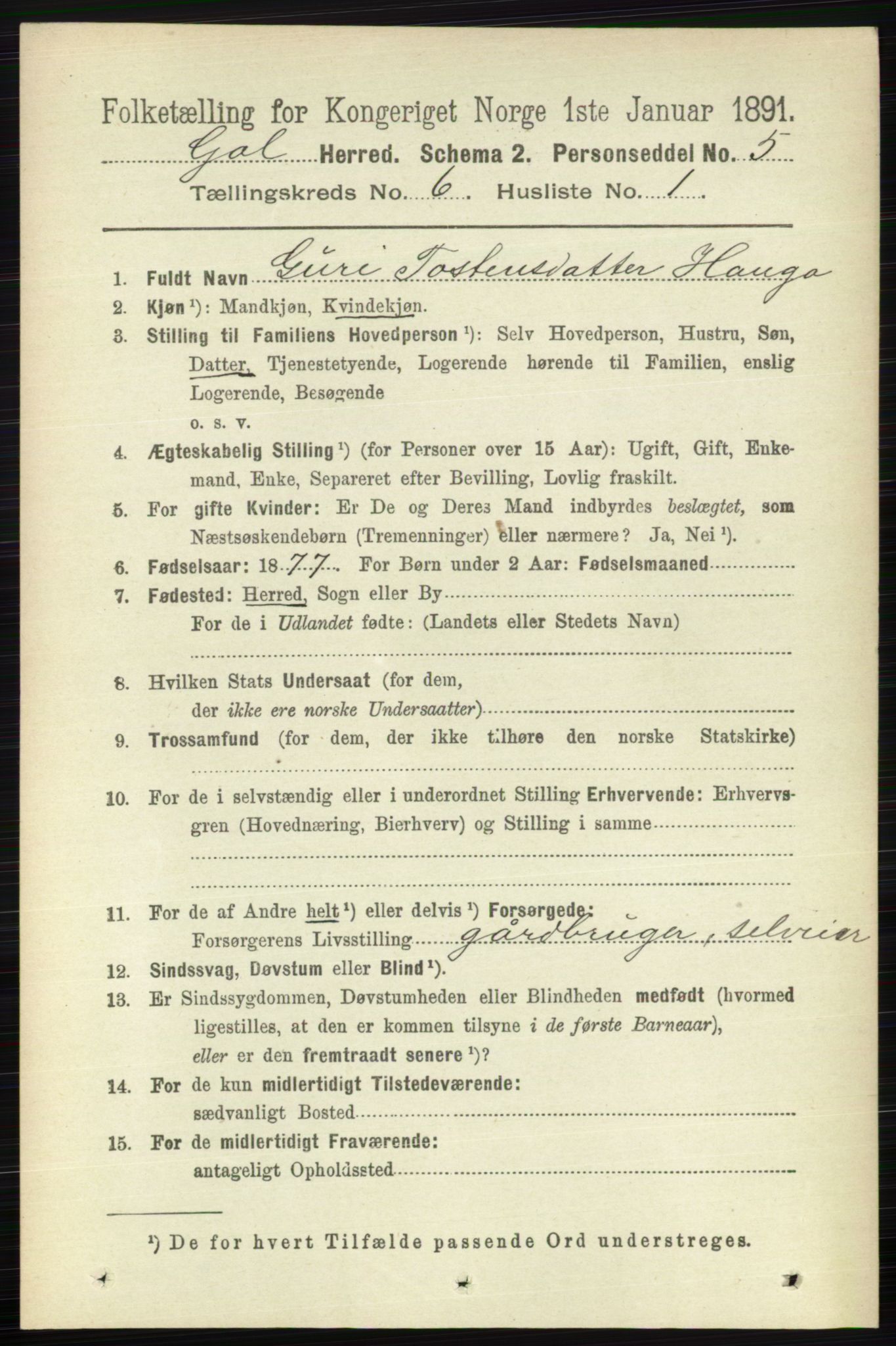 RA, 1891 census for 0617 Gol og Hemsedal, 1891, p. 2426