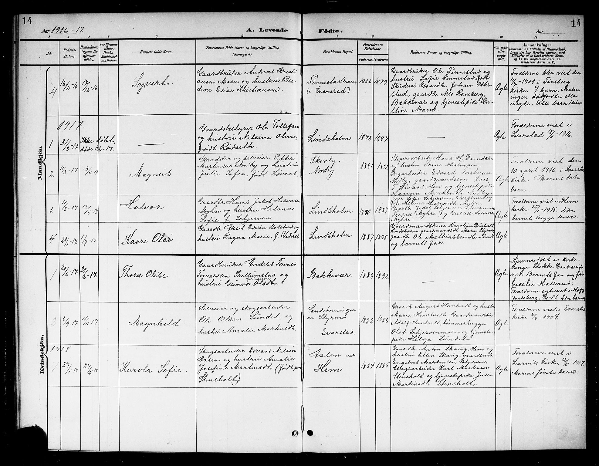 Lardal kirkebøker, AV/SAKO-A-350/G/Gb/L0002: Parish register (copy) no. II 2, 1900-1922, p. 14