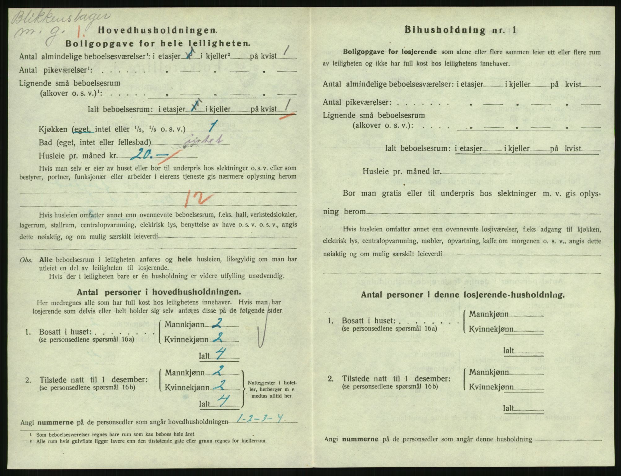 SAH, 1920 census for Lillehammer, 1920, p. 3415