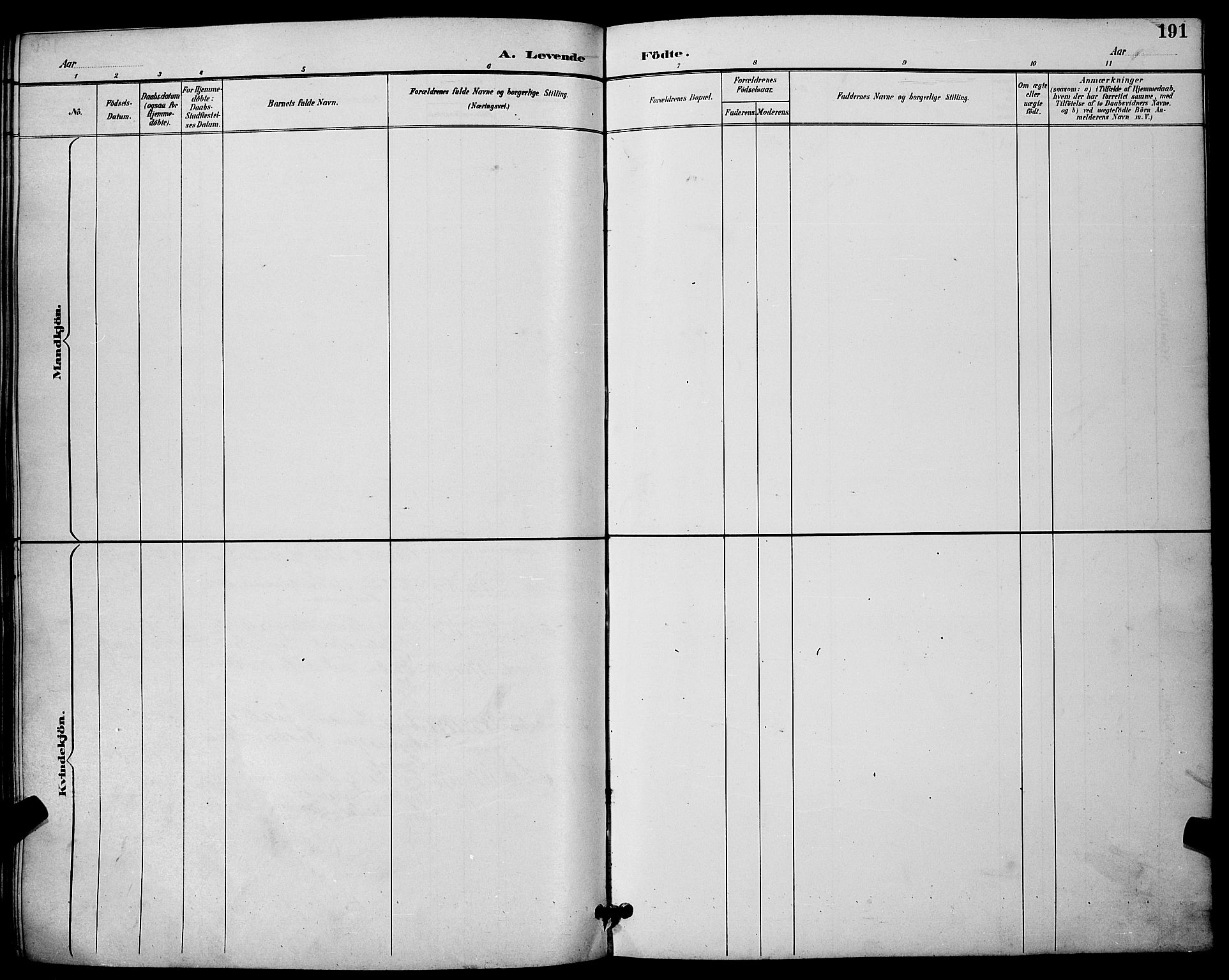 Skien kirkebøker, SAKO/A-302/G/Ga/L0007: Parish register (copy) no. 7, 1891-1900, p. 191