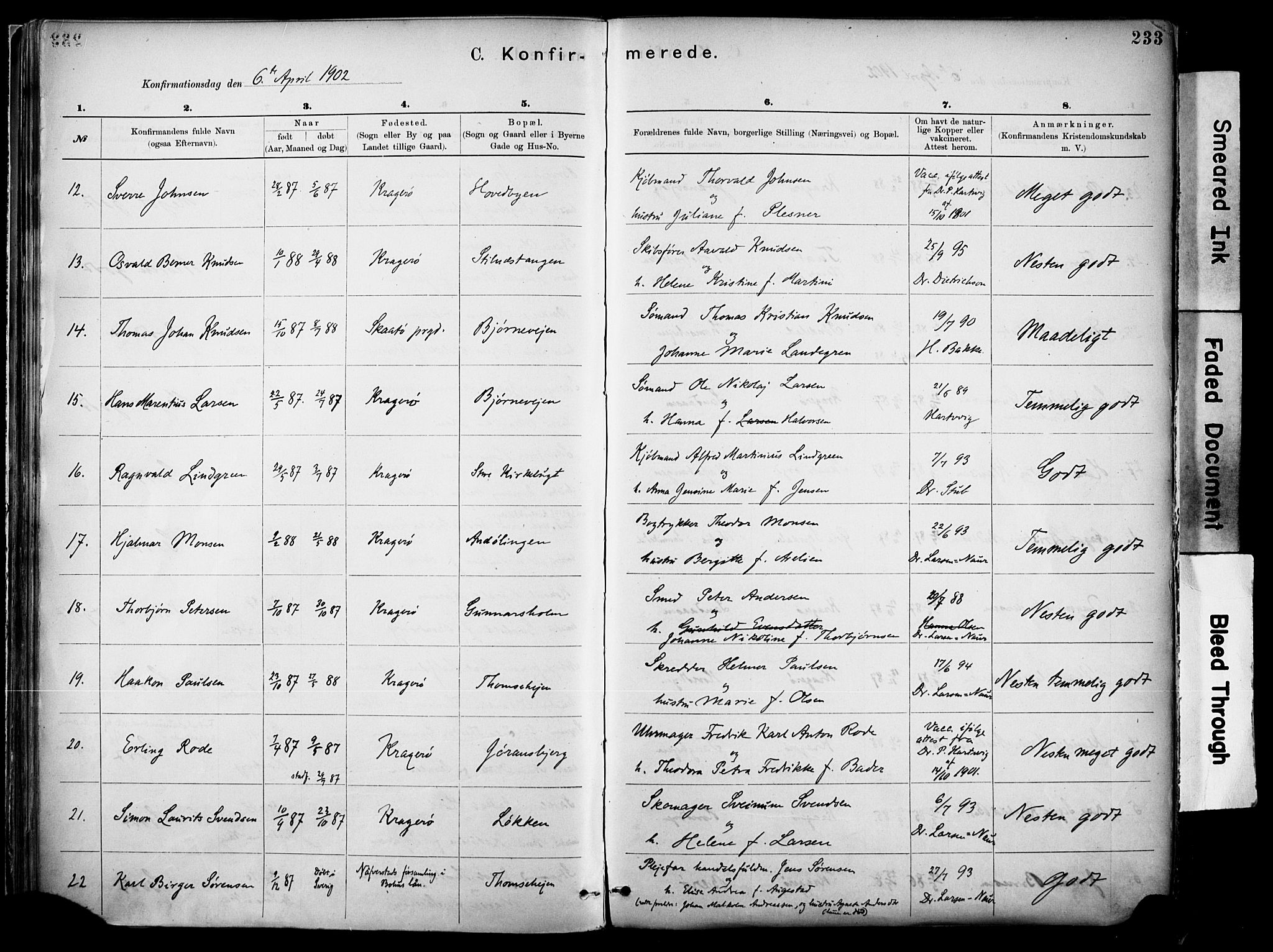 Kragerø kirkebøker, SAKO/A-278/F/Fa/L0012: Parish register (official) no. 12, 1880-1904, p. 233