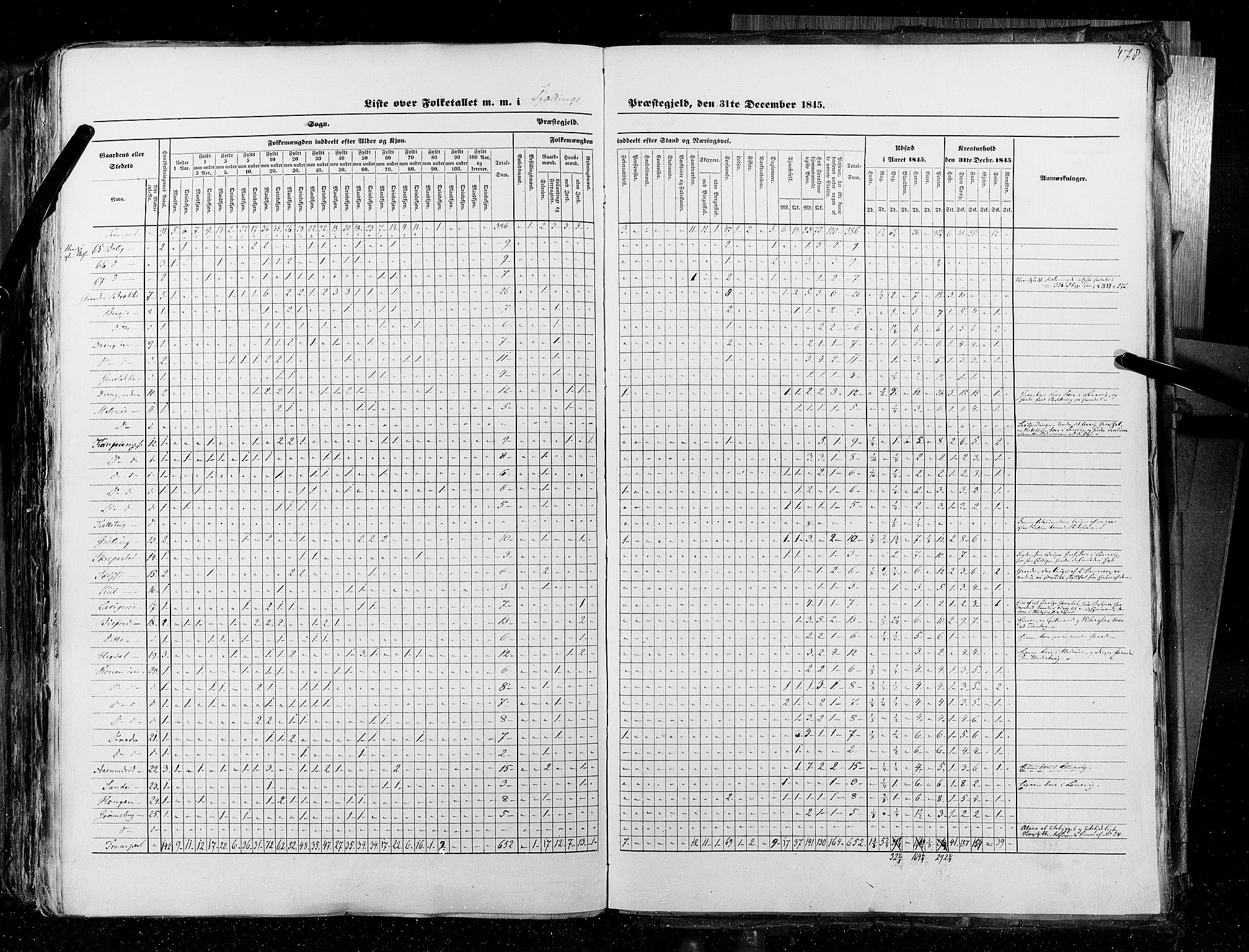 RA, Census 1845, vol. 4: Buskerud amt og Jarlsberg og Larvik amt, 1845, p. 478