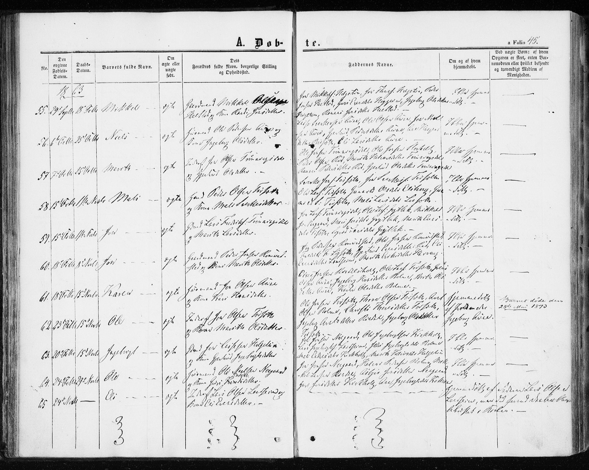 Ministerialprotokoller, klokkerbøker og fødselsregistre - Møre og Romsdal, SAT/A-1454/598/L1067: Parish register (official) no. 598A01, 1858-1871, p. 45