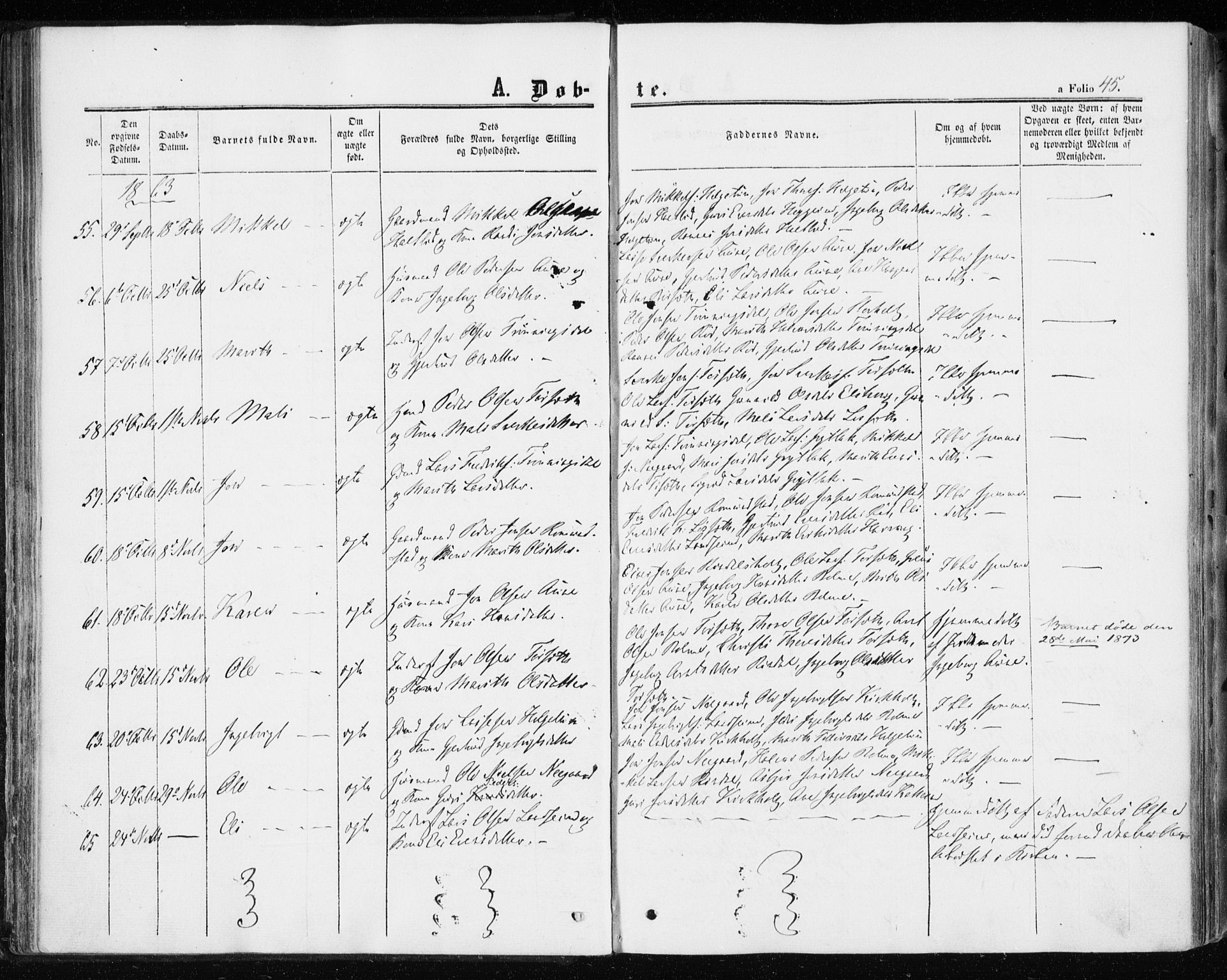 Ministerialprotokoller, klokkerbøker og fødselsregistre - Møre og Romsdal, AV/SAT-A-1454/598/L1067: Parish register (official) no. 598A01, 1858-1871, p. 45