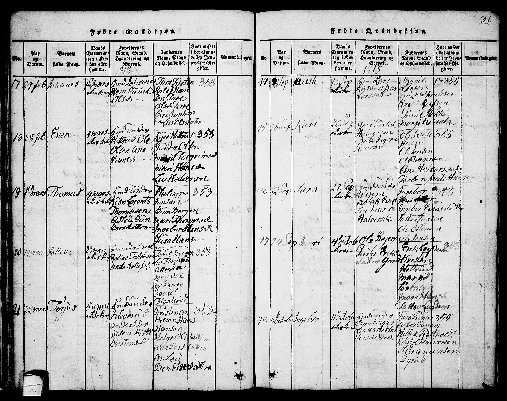 Sauherad kirkebøker, SAKO/A-298/G/Ga/L0001: Parish register (copy) no. I 1, 1815-1827, p. 31