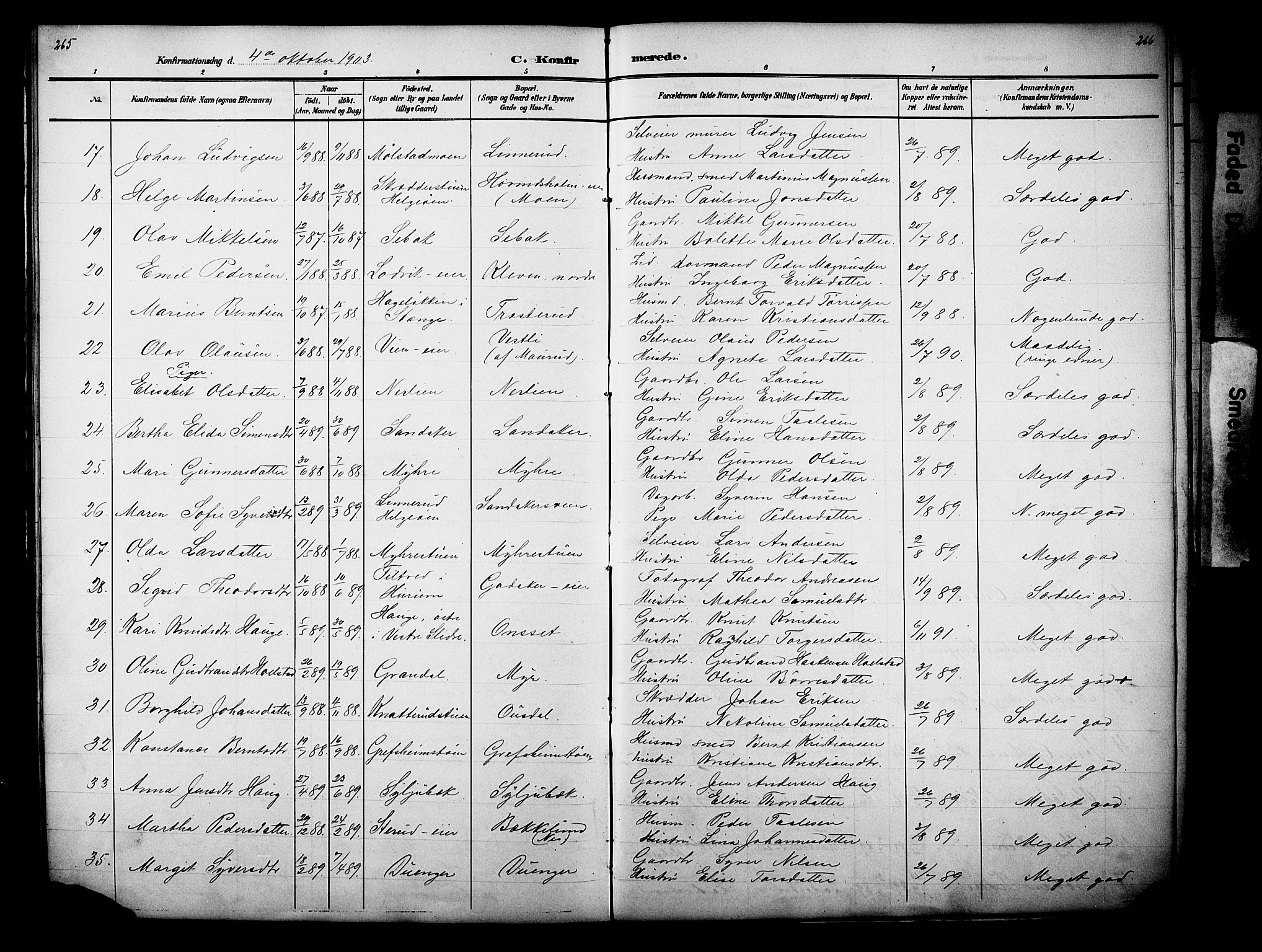 Nes prestekontor, Hedmark, SAH/PREST-020/L/La/L0006: Parish register (copy) no. 6, 1890-1932, p. 265-266