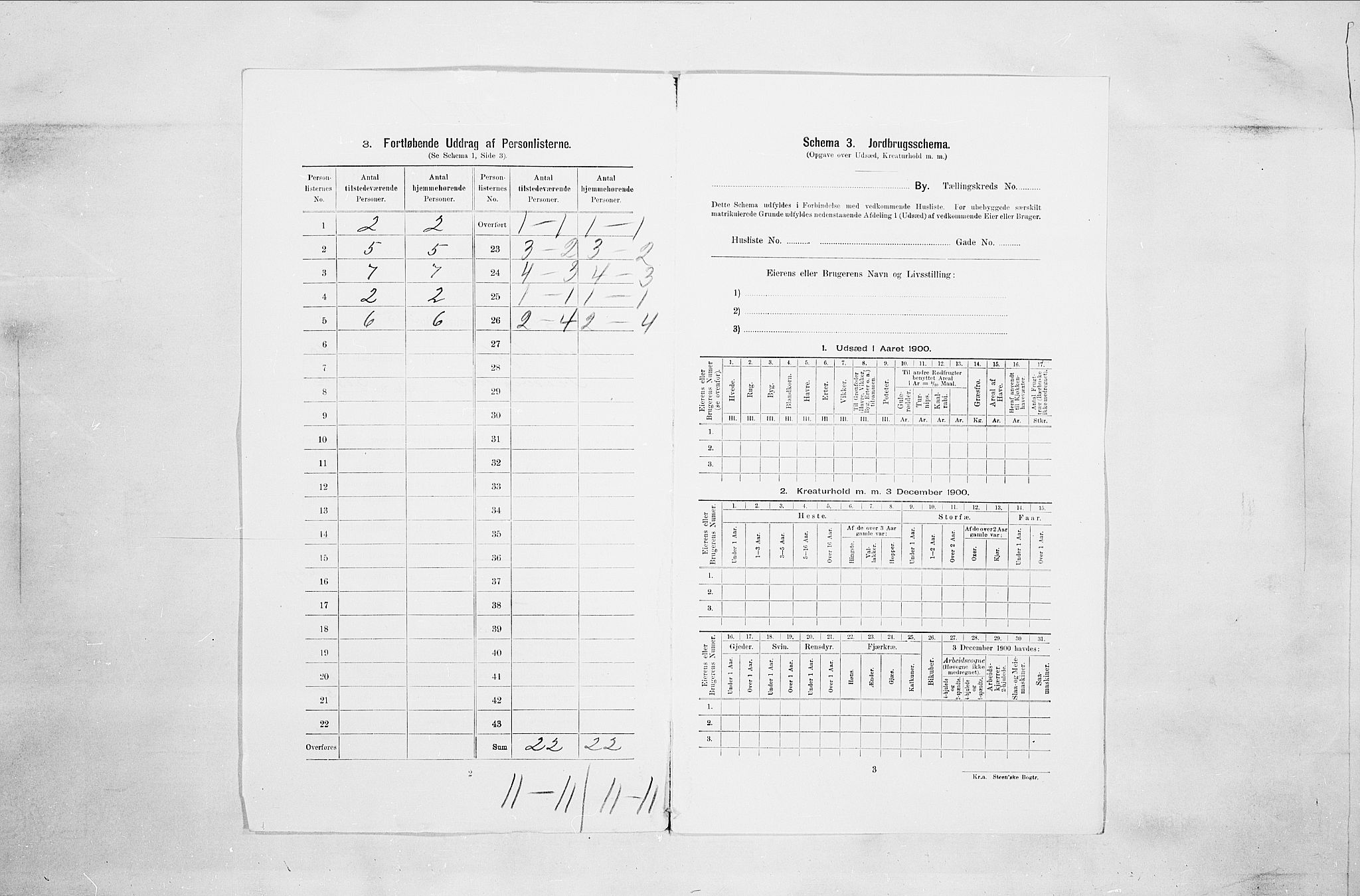 SAO, 1900 census for Fredrikstad, 1900