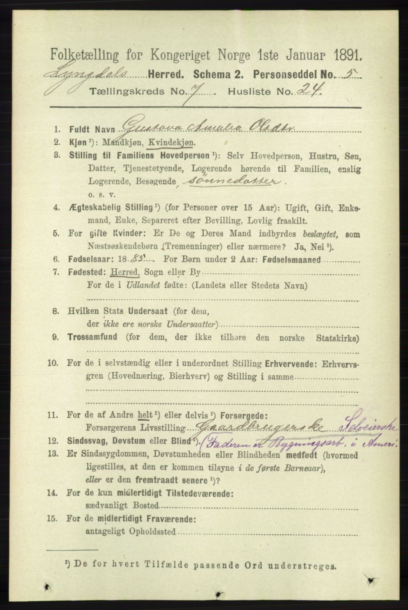 RA, 1891 census for 1032 Lyngdal, 1891, p. 3050