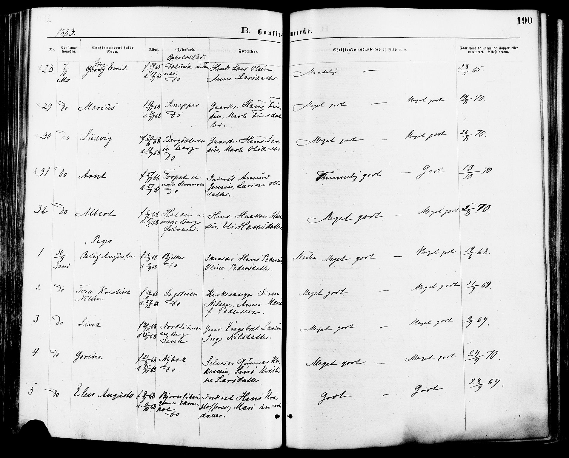 Nord-Odal prestekontor, AV/SAH-PREST-032/H/Ha/Haa/L0005: Parish register (official) no. 5, 1874-1885, p. 190