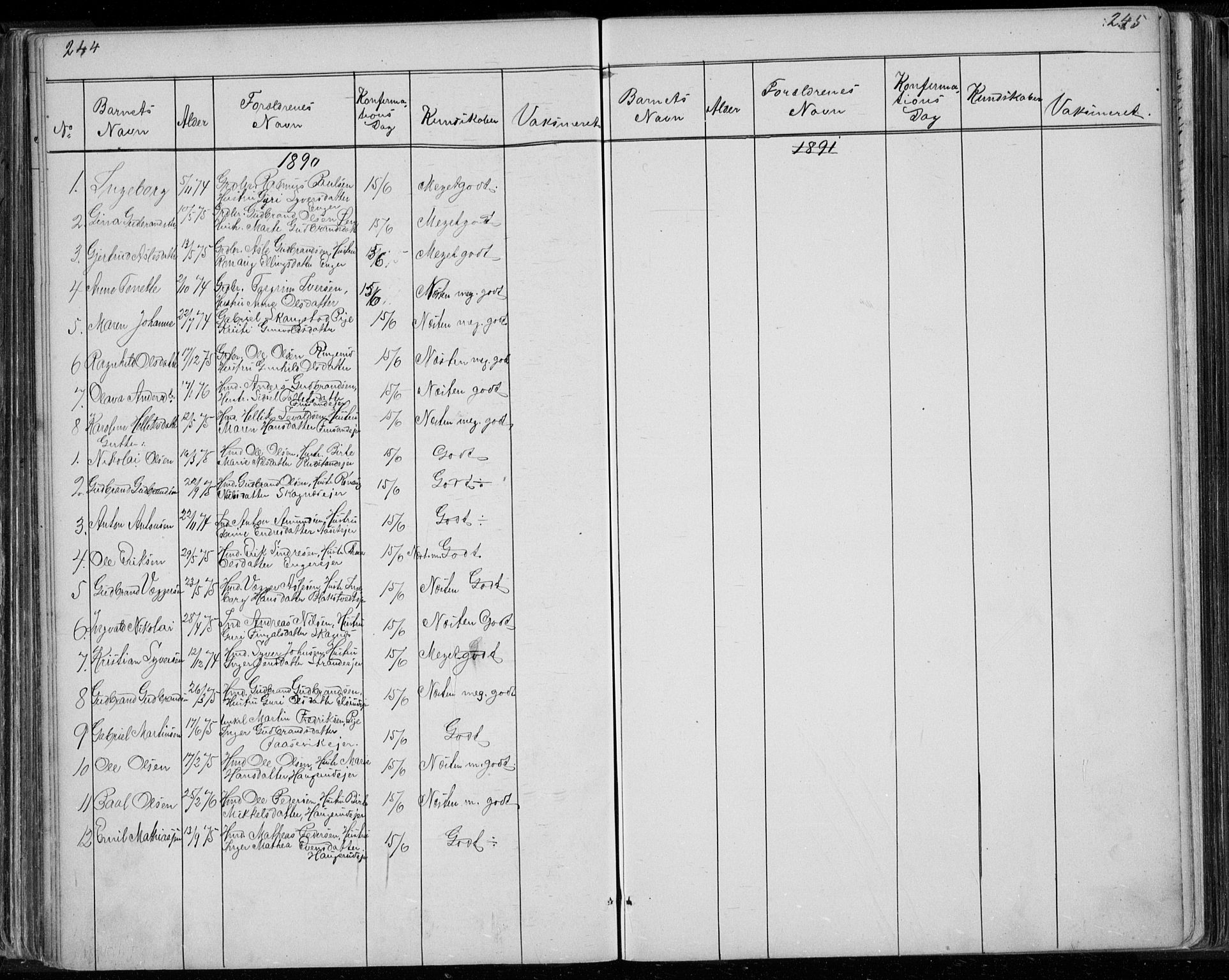 Ådal kirkebøker, AV/SAKO-A-248/G/Ga/L0003: Parish register (copy) no. I 3, 1862-1891, p. 244-245