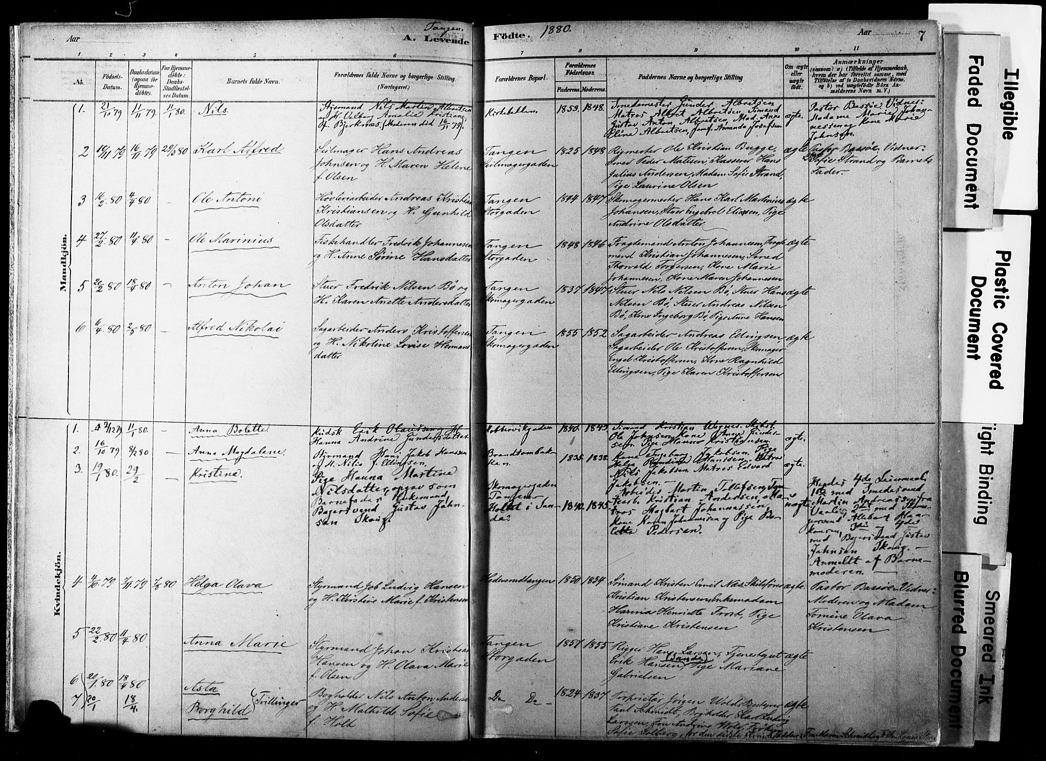 Strømsø kirkebøker, SAKO/A-246/F/Fb/L0006: Parish register (official) no. II 6, 1879-1910, p. 7
