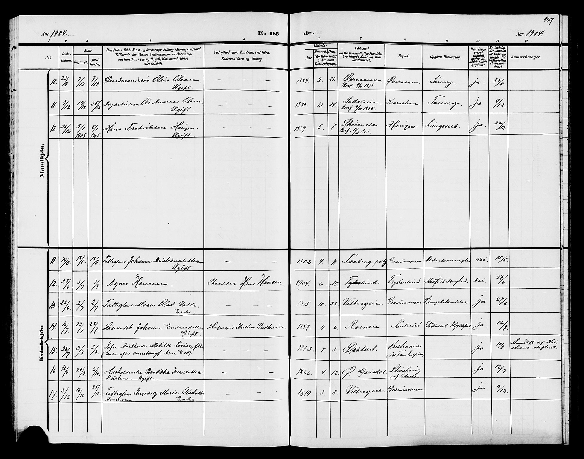 Søndre Land prestekontor, SAH/PREST-122/L/L0005: Parish register (copy) no. 5, 1902-1911, p. 107