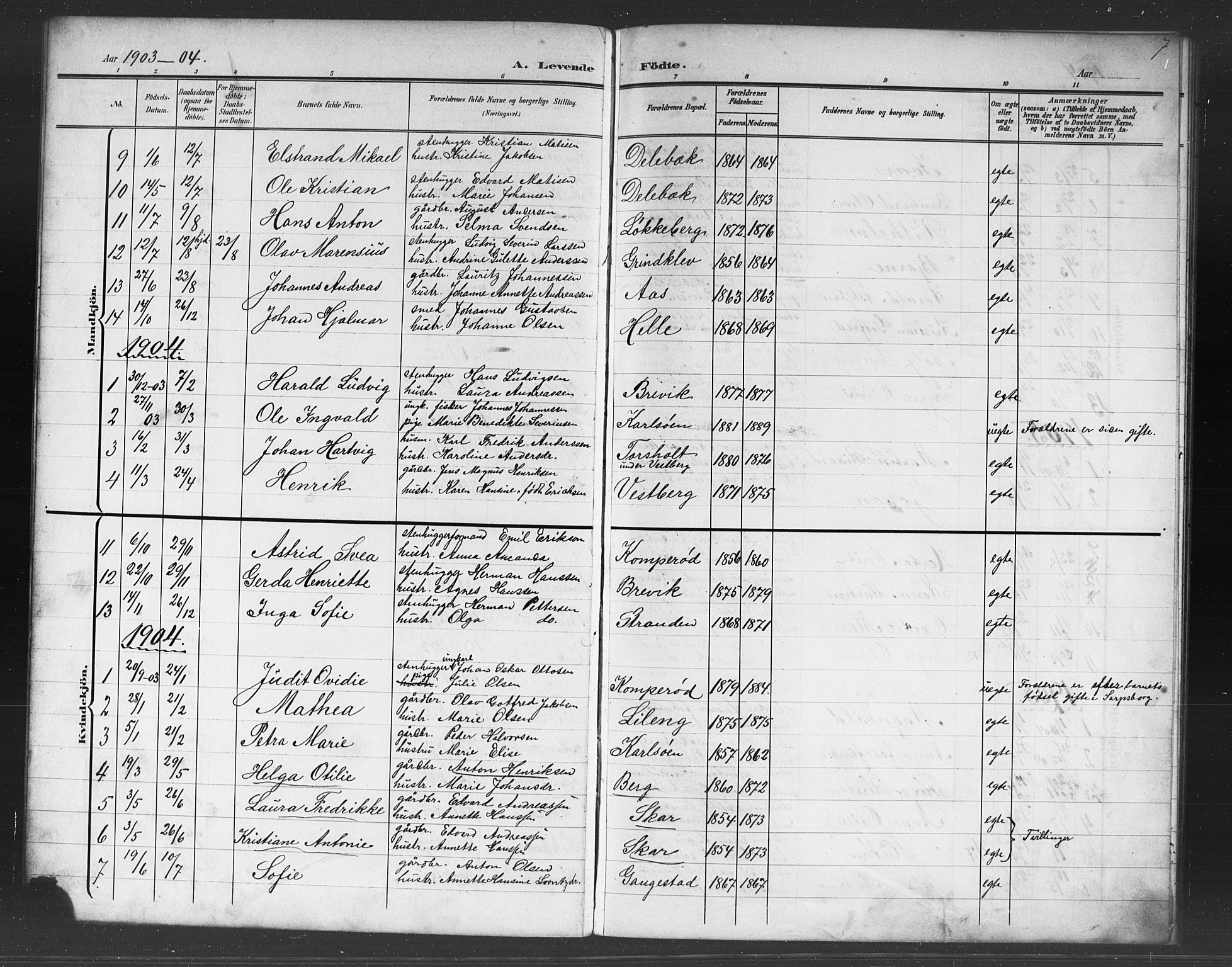 Skjeberg prestekontor Kirkebøker, AV/SAO-A-10923/G/Gb/L0001: Parish register (copy) no. II 1, 1901-1919, p. 7
