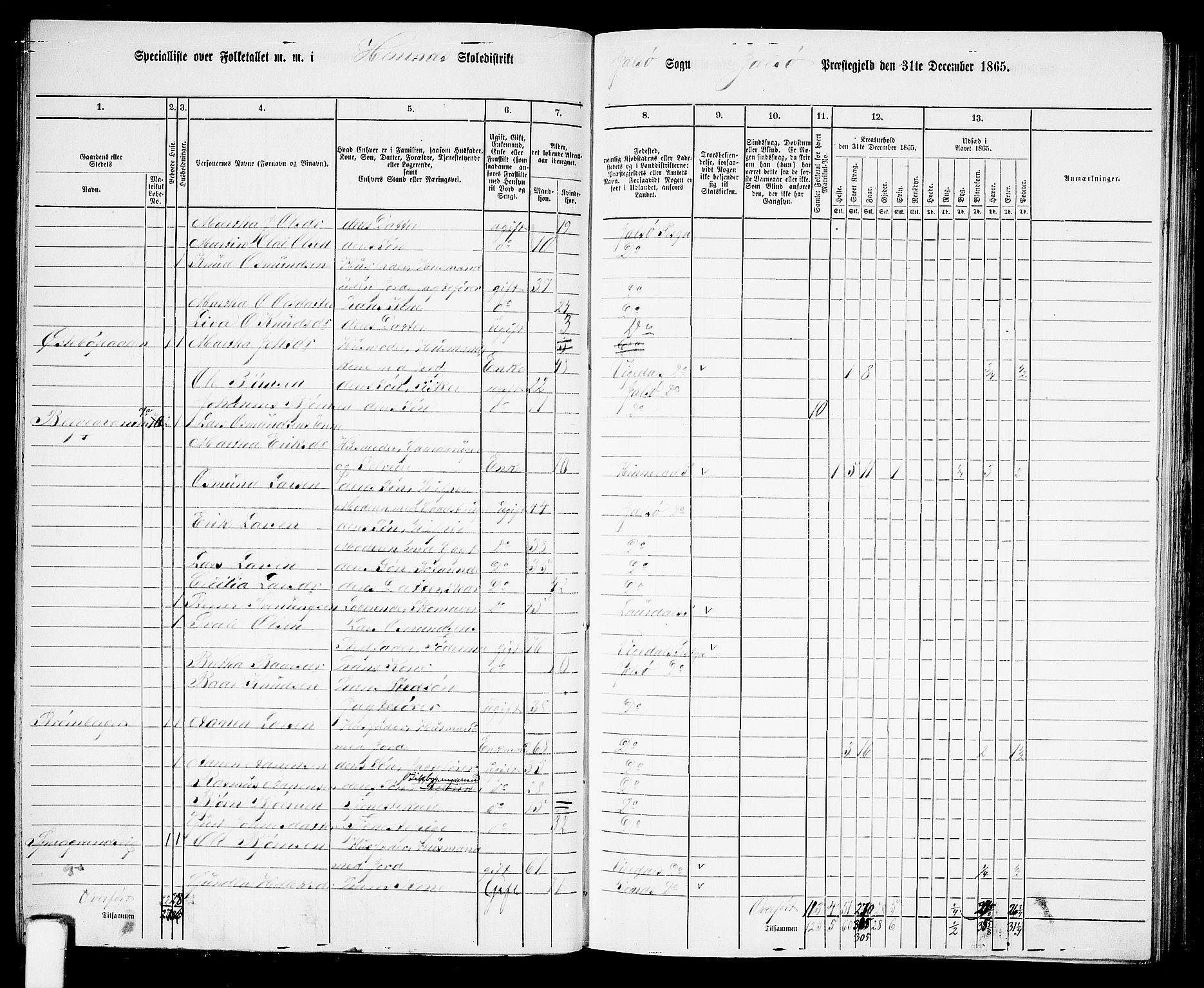 RA, 1865 census for Jelsa, 1865, p. 48