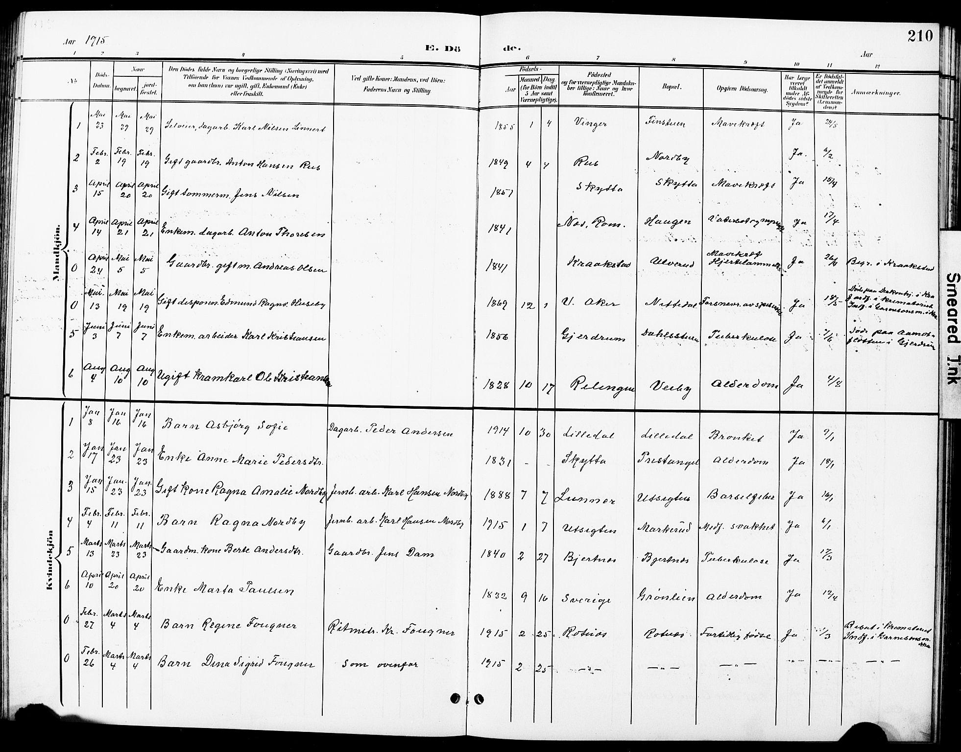 Nittedal prestekontor Kirkebøker, AV/SAO-A-10365a/G/Ga/L0003: Parish register (copy) no. I 3, 1902-1929, p. 210