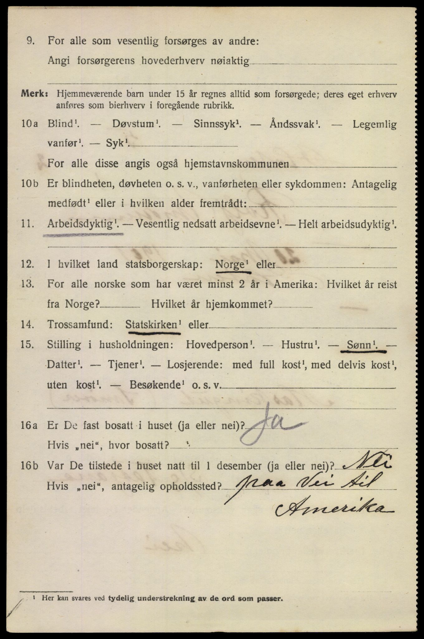 SAKO, 1920 census for Horten, 1920, p. 10354