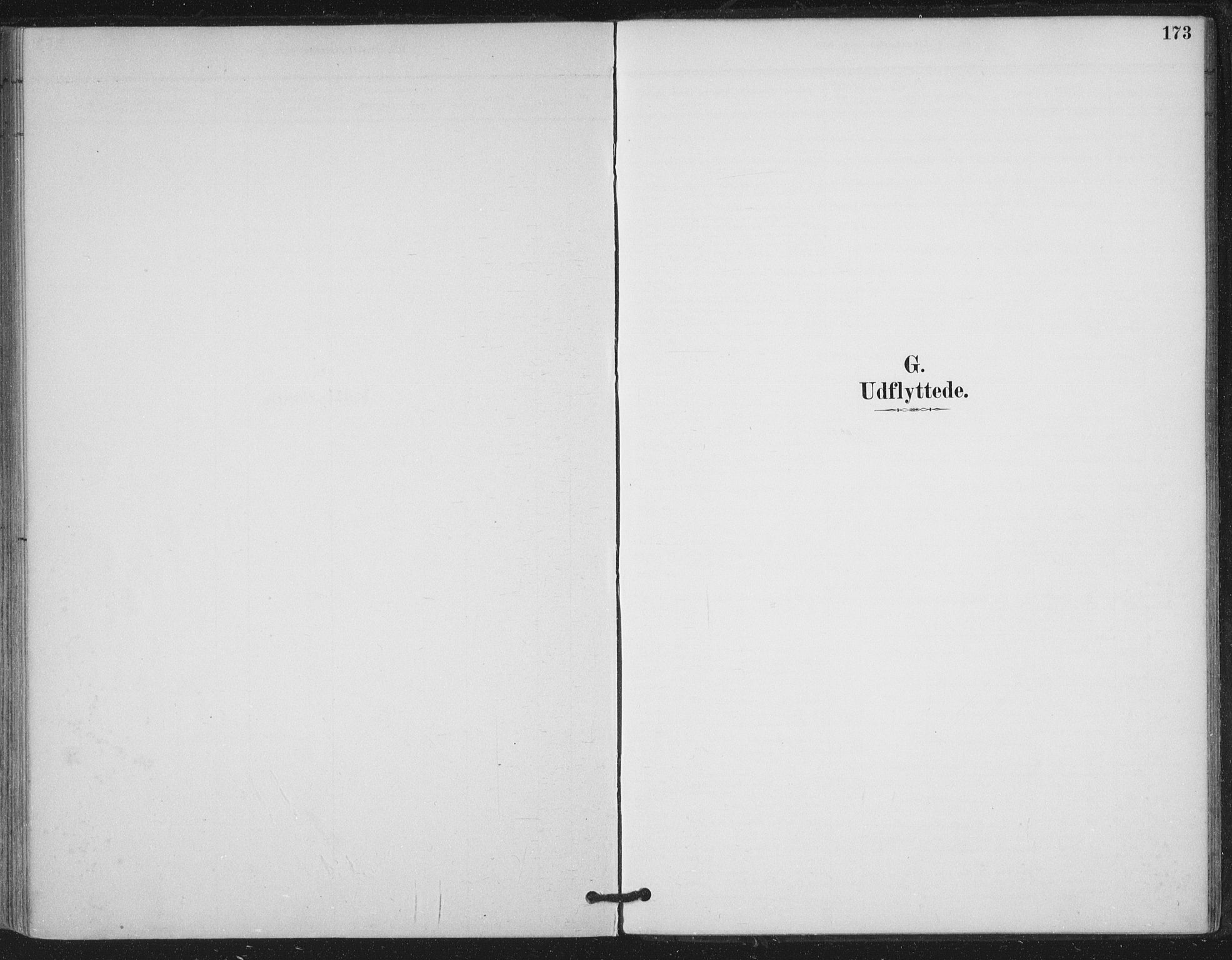 Ministerialprotokoller, klokkerbøker og fødselsregistre - Nord-Trøndelag, AV/SAT-A-1458/780/L0644: Parish register (official) no. 780A08, 1886-1903, p. 173