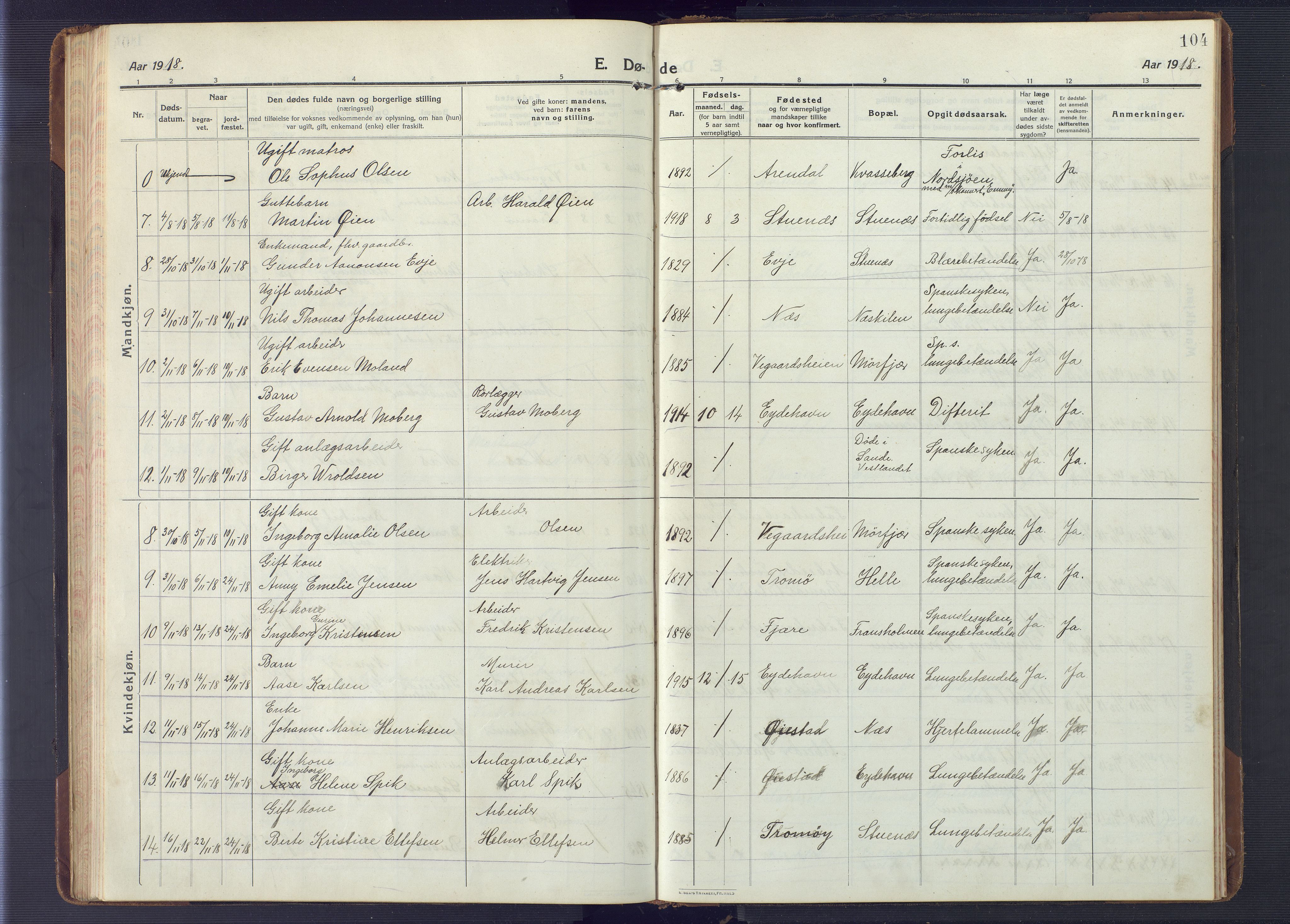 Austre Moland sokneprestkontor, AV/SAK-1111-0001/F/Fb/Fbb/L0004: Parish register (copy) no. B 4, 1914-1929, p. 104