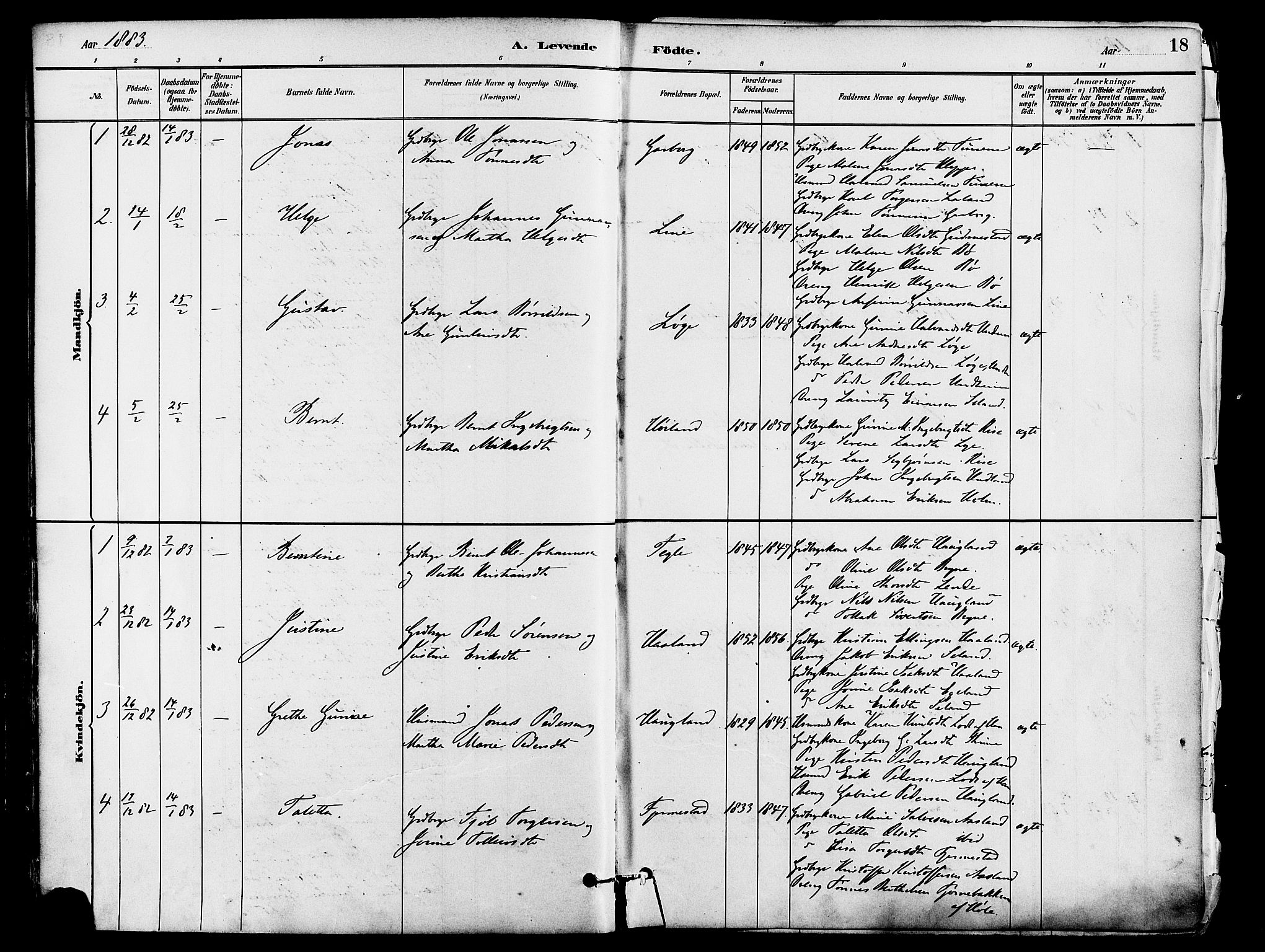 Lye sokneprestkontor, SAST/A-101794/001/30BA/L0009: Parish register (official) no. A 8, 1881-1892, p. 18