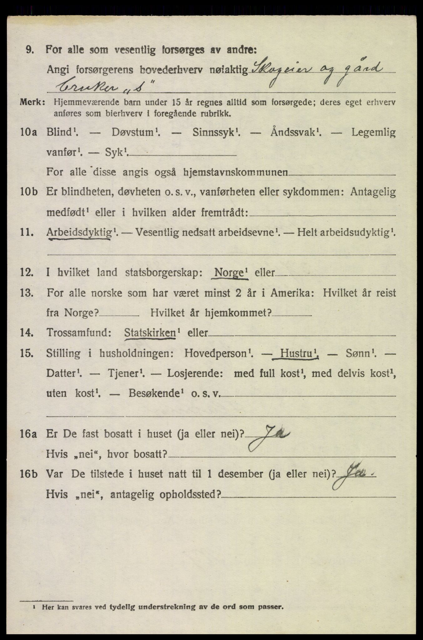 SAH, 1920 census for Trysil, 1920, p. 15544