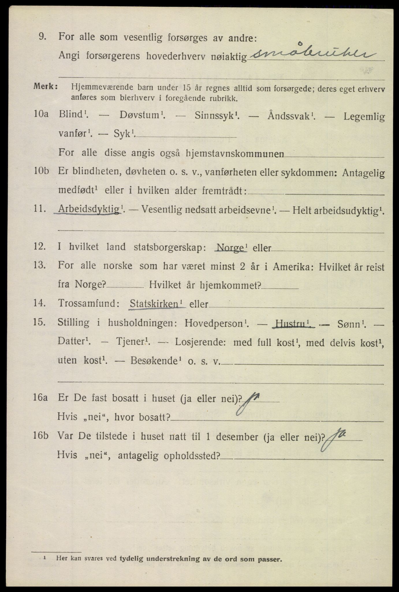 SAH, 1920 census for Nordre Land, 1920, p. 2073